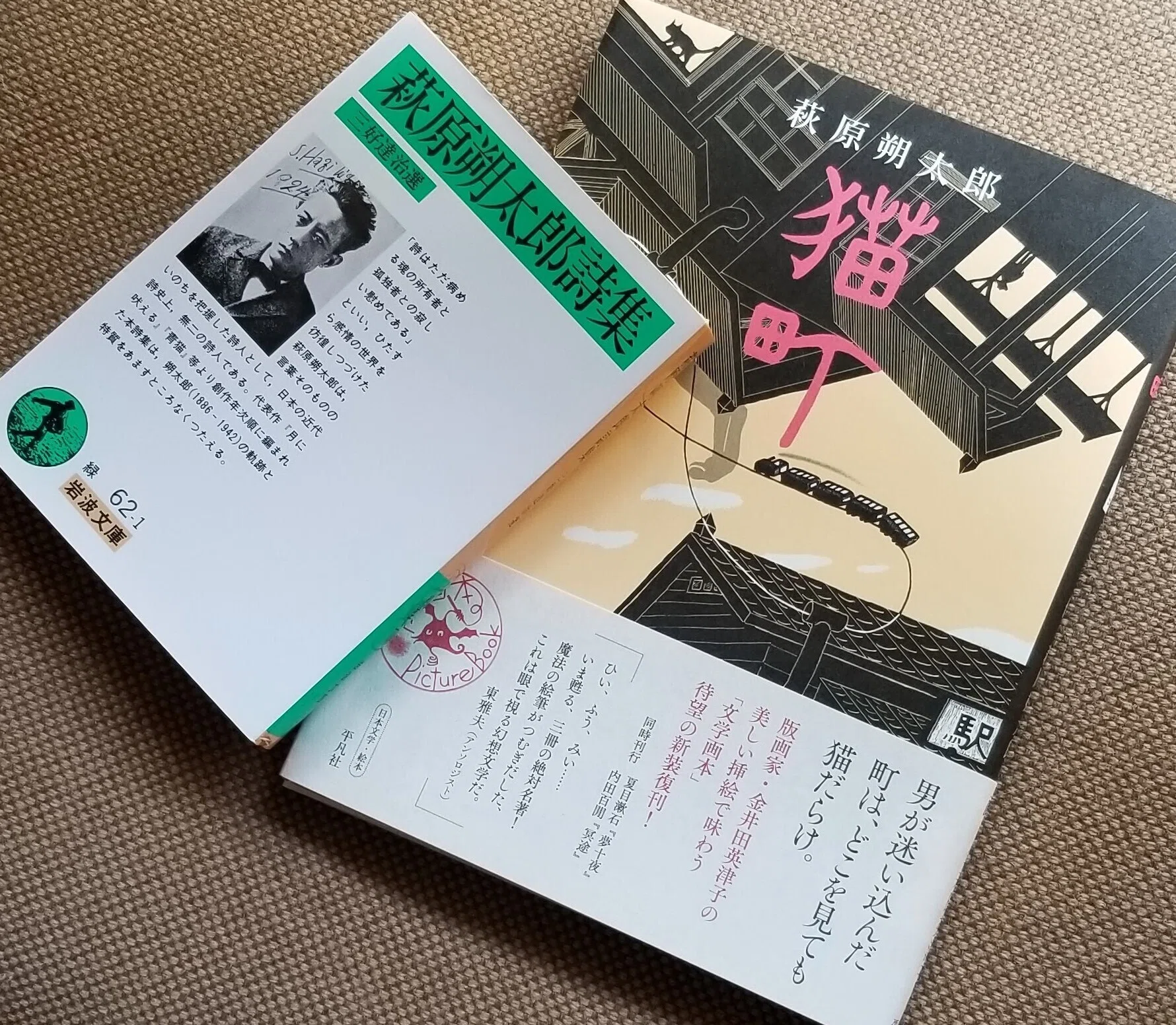 プレミアム 専用 萩原朔太郎 氷島 初版 函つき 古本、中古本、古書籍の 