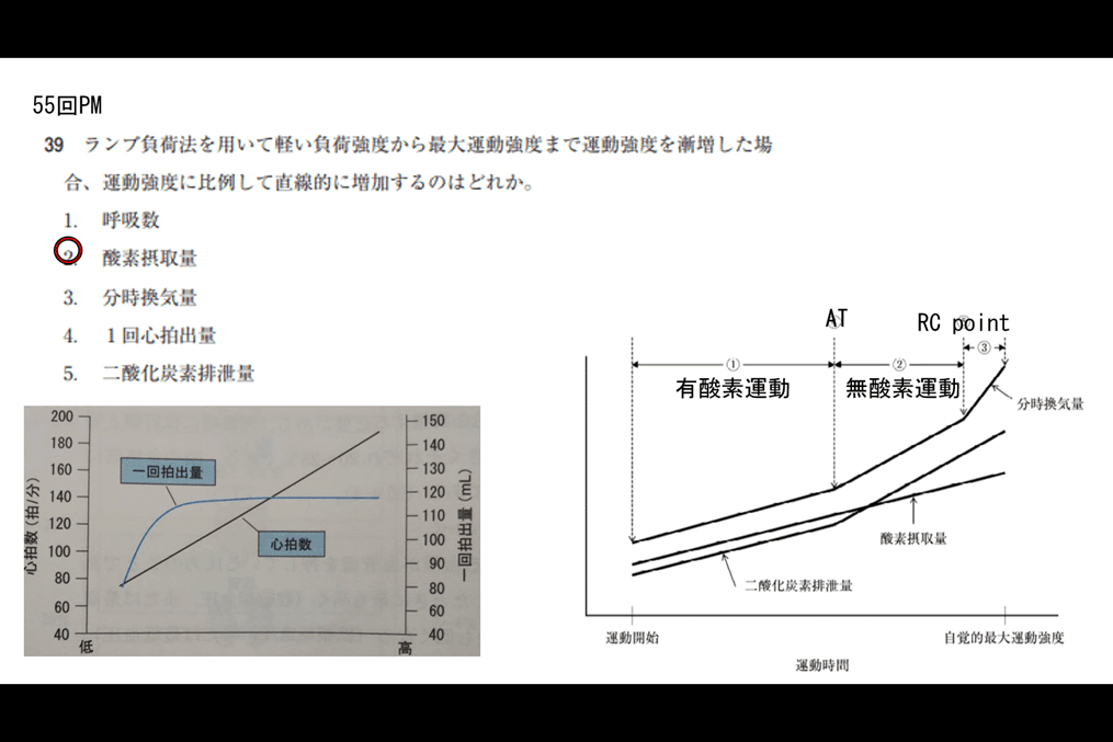 第55回理学療法士国家試験PM39｜ともみ
