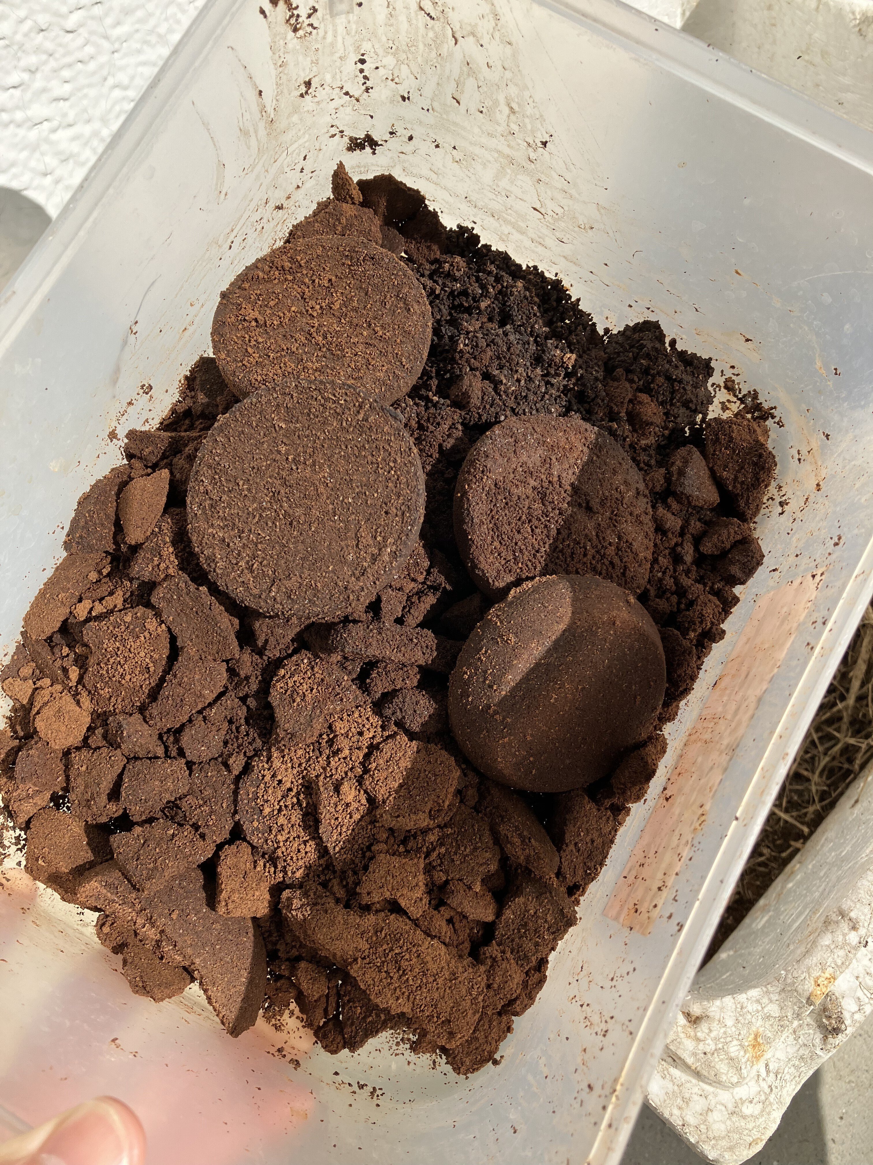 コーヒー抽出後のかすで肥料を作る方法｜池原仰一