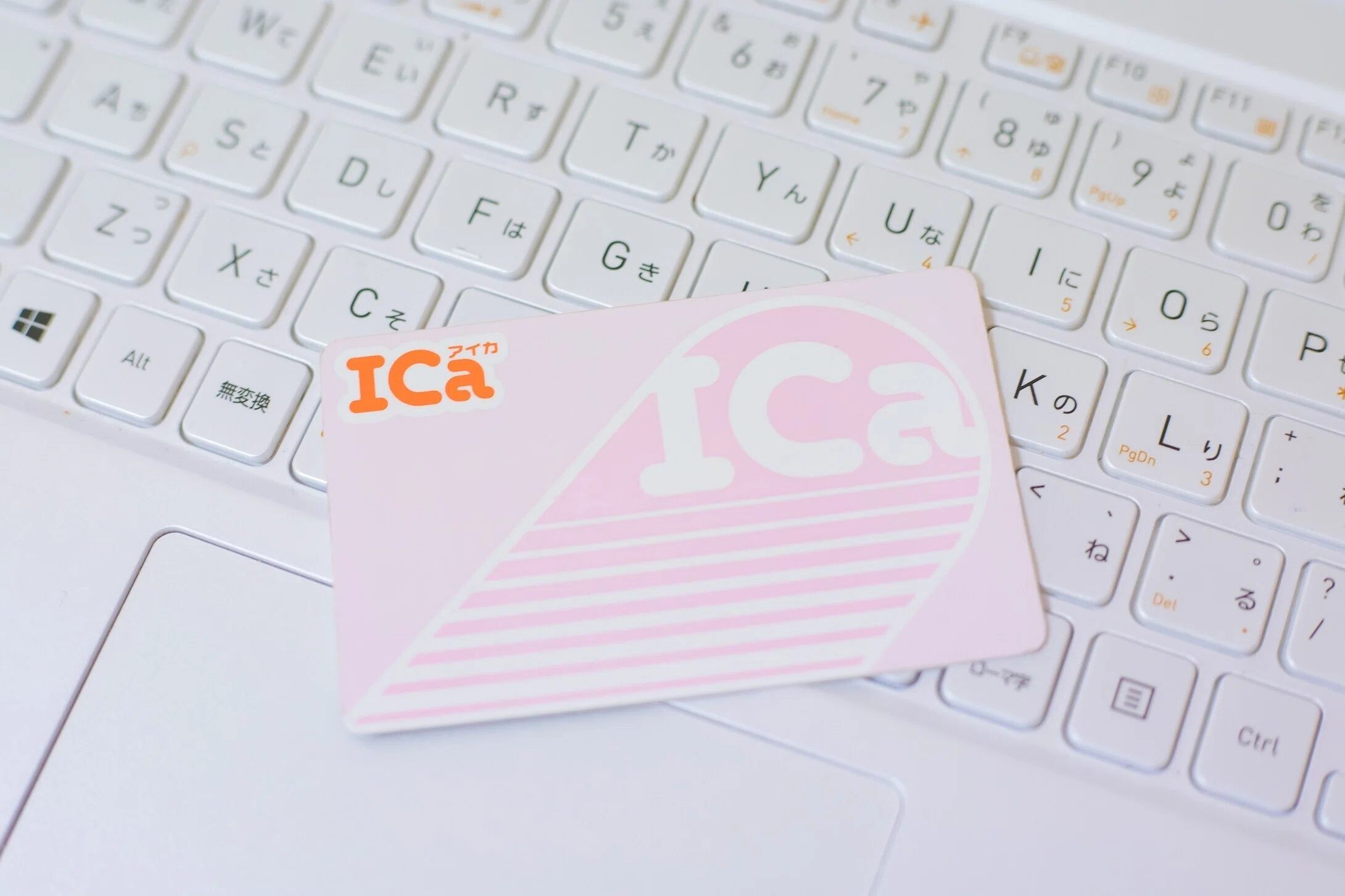 金大生 ICaは持つべきか｜ぺいじー
