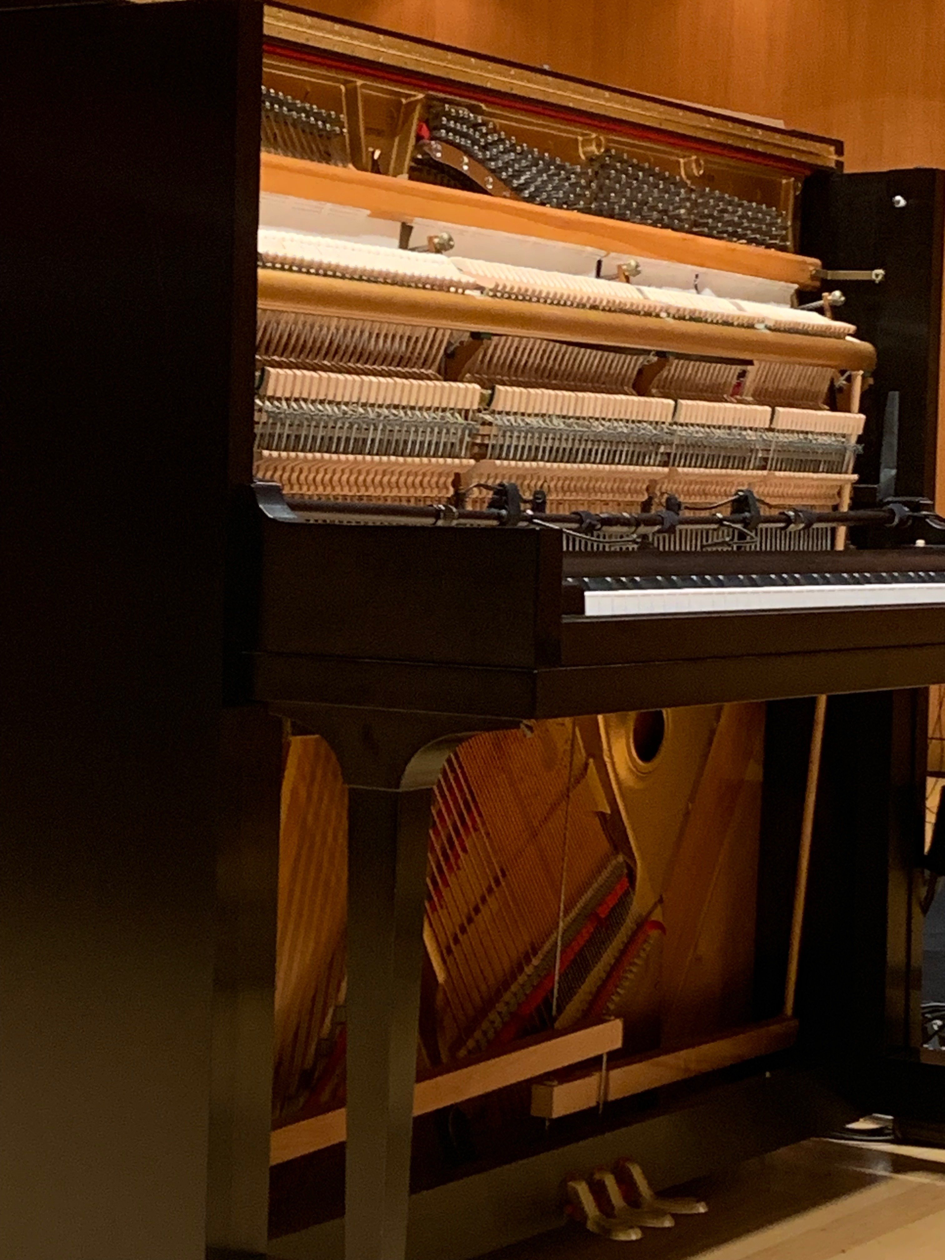 アート・デザイン・音楽  IS WHERE YOU PARK IT アート・デザイン・音楽 VAN LIFE IS WHERE YOU PARK IT BOOK