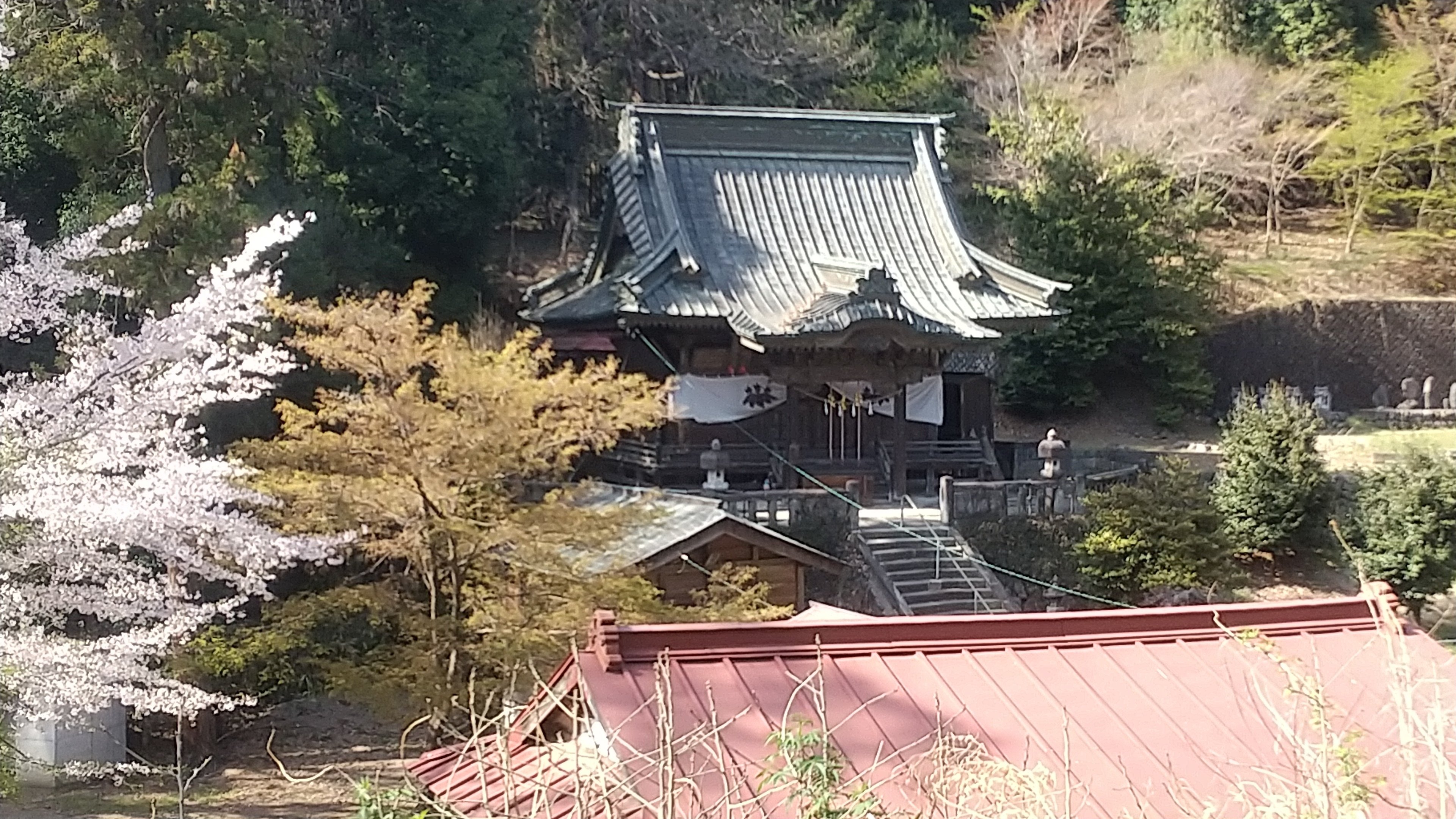 木曽三社神社|べるがりおん