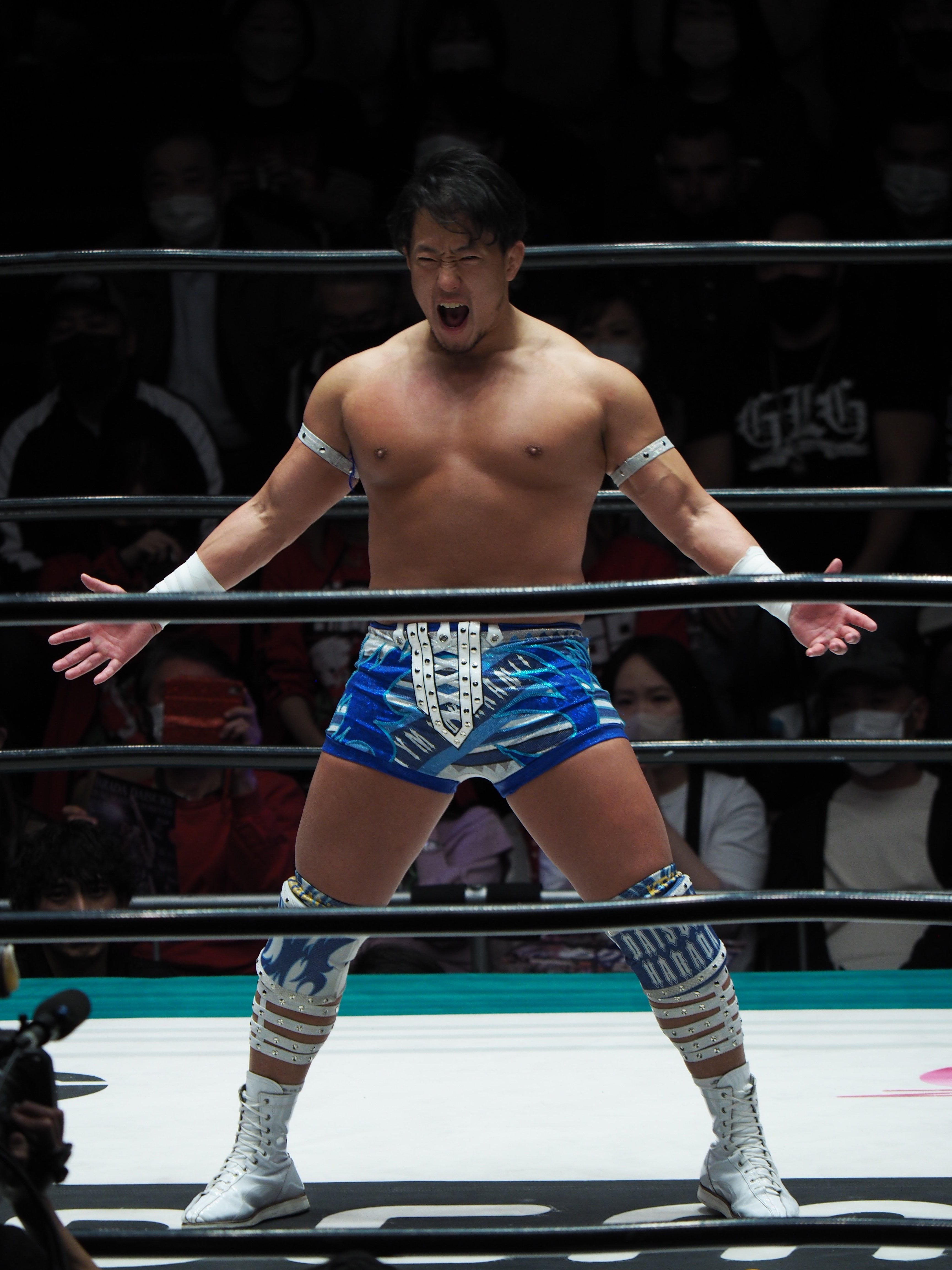 未開封　WWE　ミル・マスカラス　ドスカラス　プロレスフィギュア　2体セット 未開封 WWE ミル・マスカラス ドスカラス プロレスフィギュア 2体