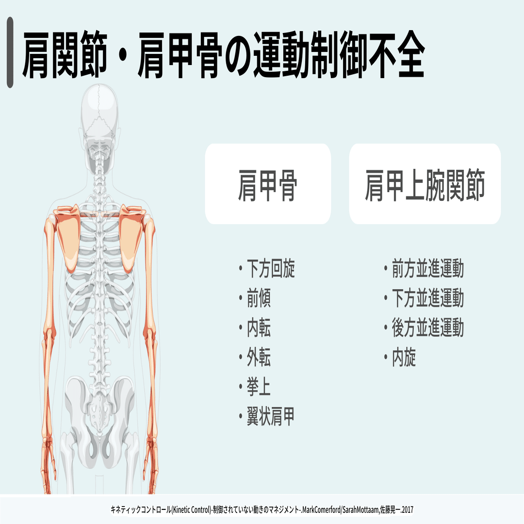 肩関節・肩甲骨のモーターコントロール評価｜小林龍樹＠理学療法士