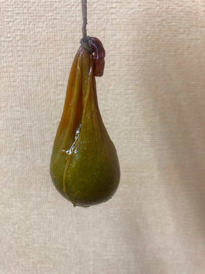 猪胆の作り方|縁里庵かつもと鍼灸院