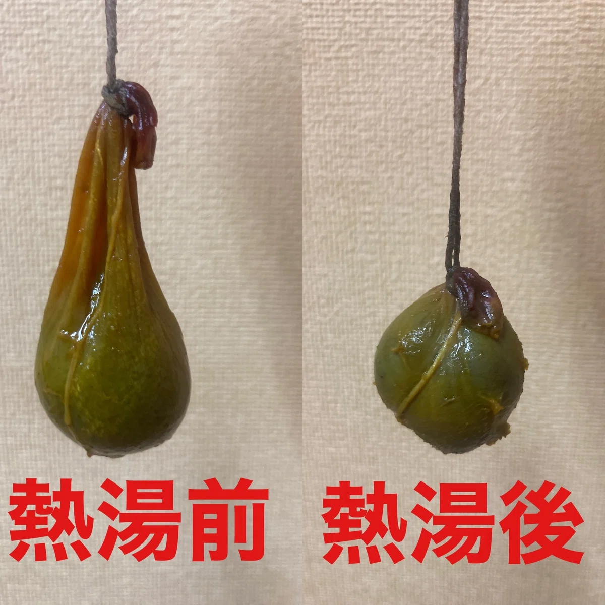 猪胆の作り方|縁里庵かつもと鍼灸院