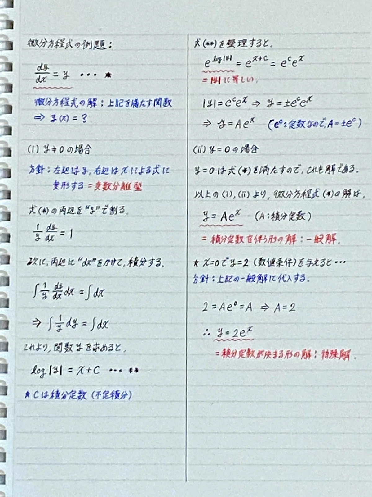 Constant Variable Example In Math Deep Dive into Analysis (Calculus) - 3 -|谷口シン | 学問から人生を紐解くnoter