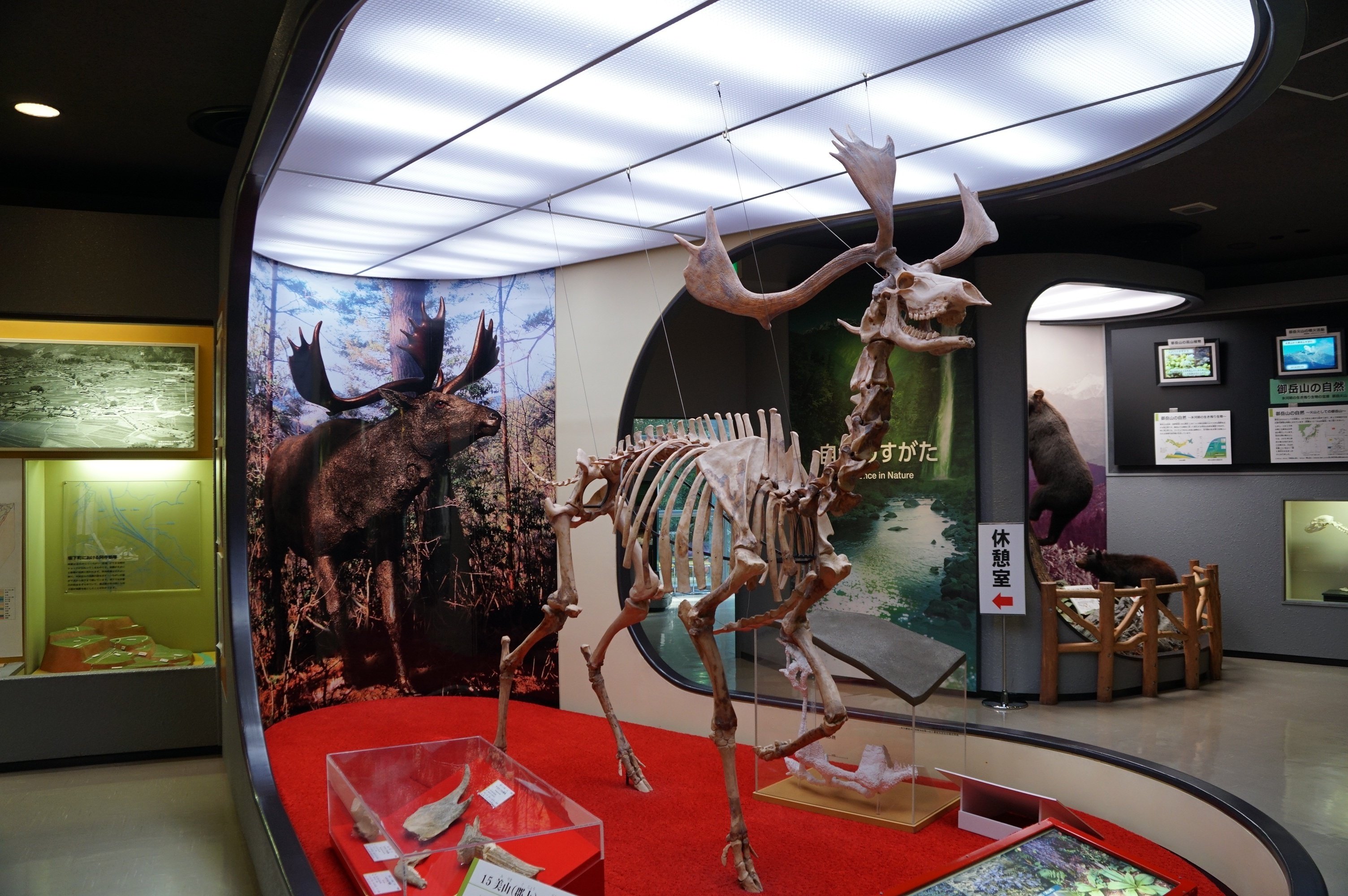 「伝統と創造」図録　岐阜県博物館 岐阜県現代陶芸美術館 | 過去の展覧会