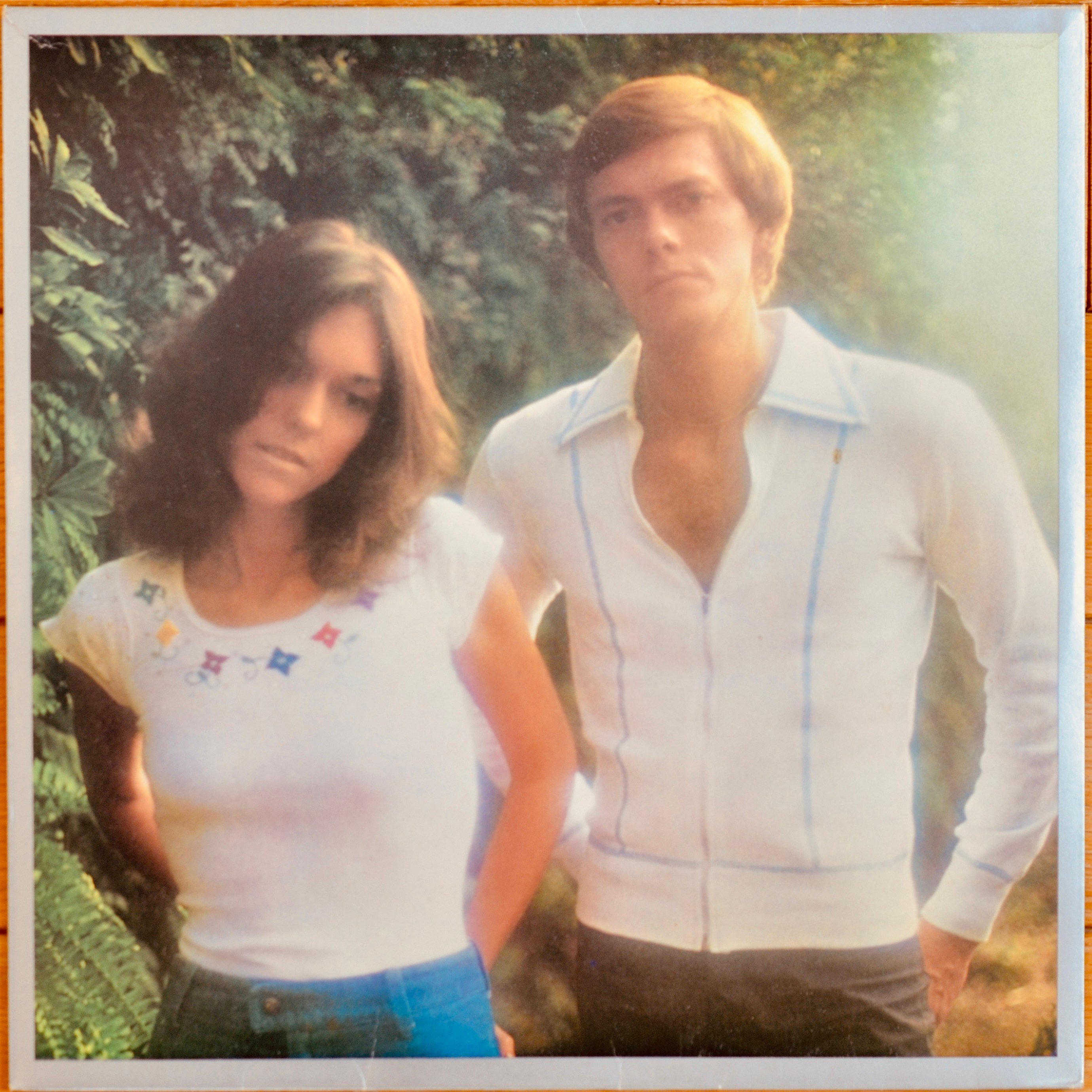 レコード棚を総浚い #54：『Carpenters / HORIZON（緑の地平線