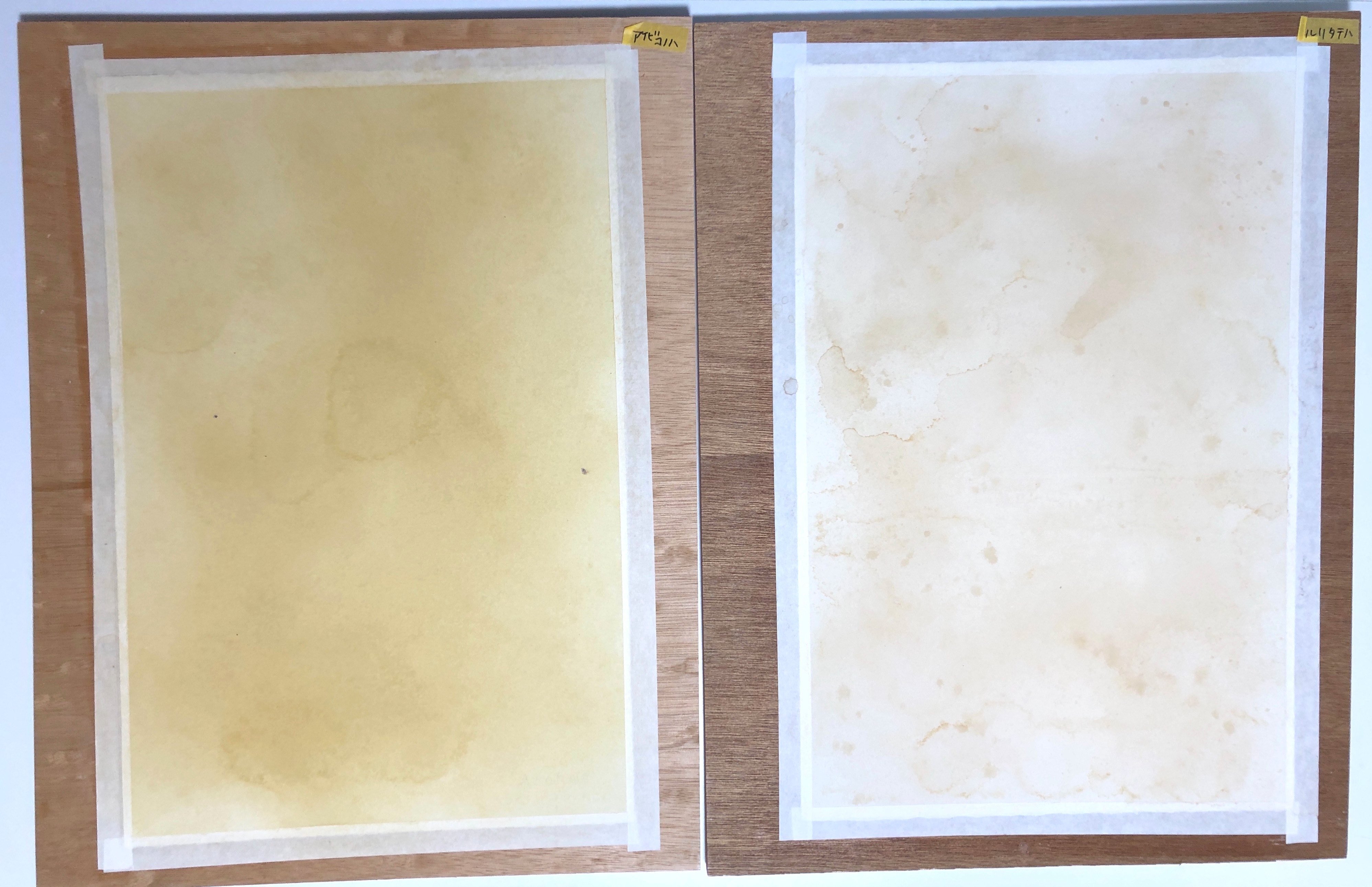 イモムシ様 Gil Wizen on X: 