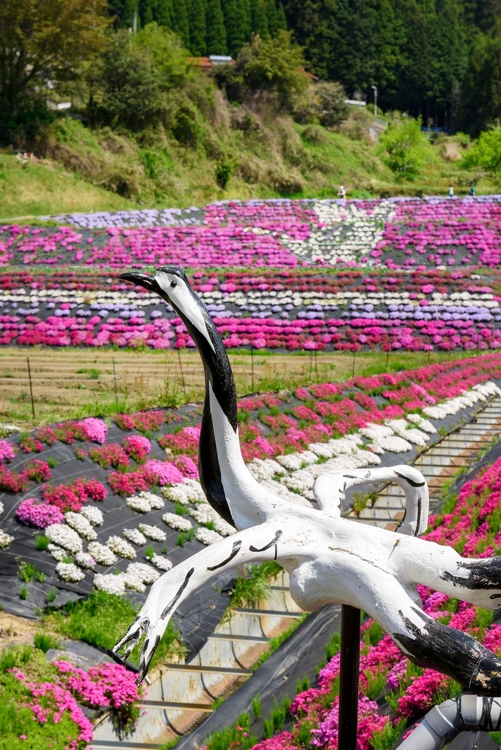 美しい景観を未来へつなぐために、地域の農家を中心に開催する「大道理