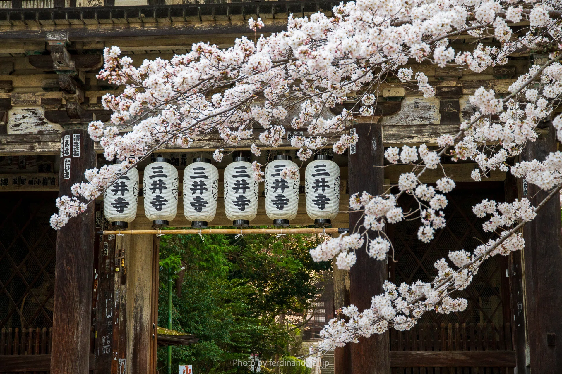 門出｜写信家 うみやま
