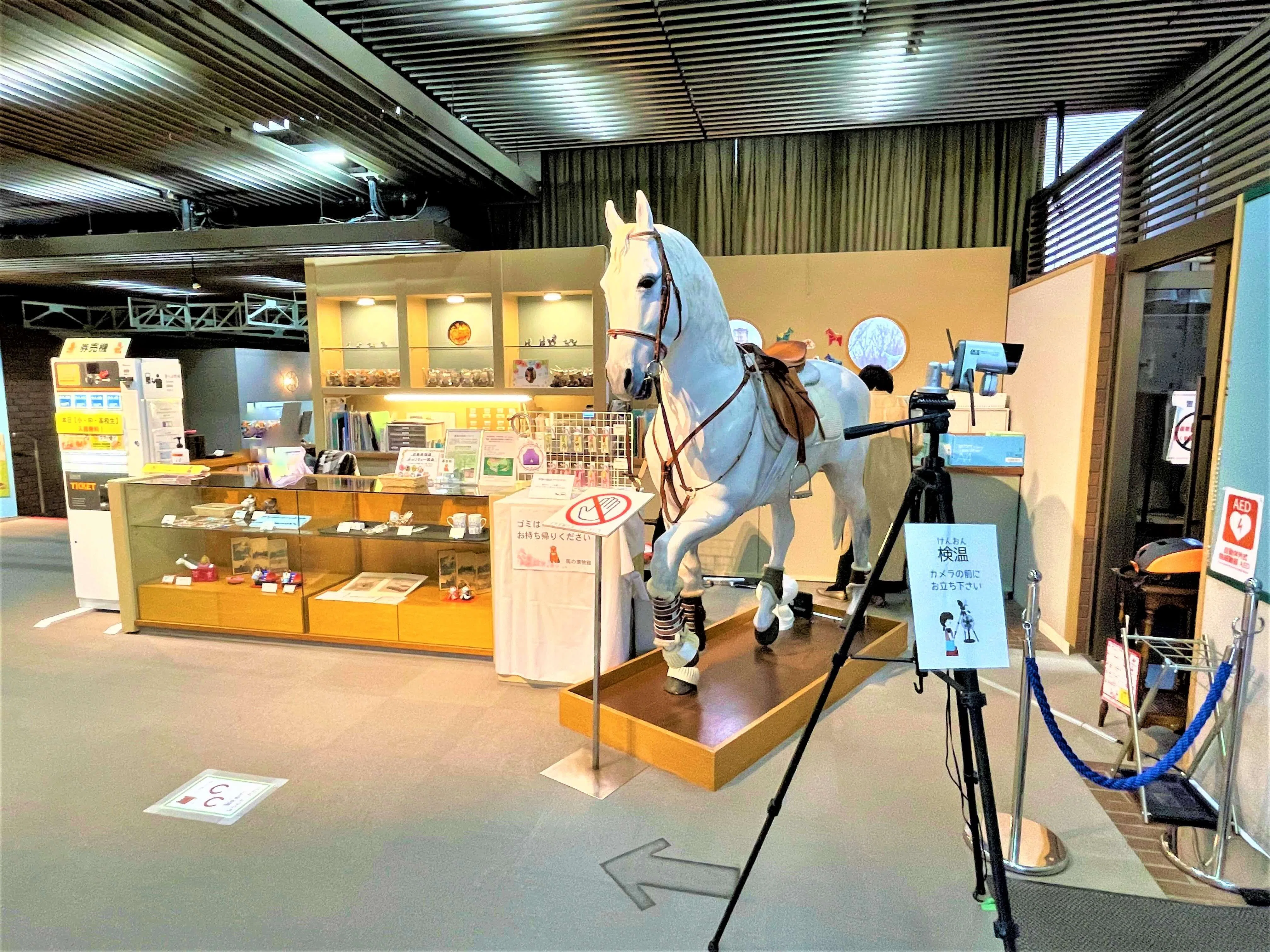 馬の博物館へ行ってみた｜自己肯定感を高める×ライター