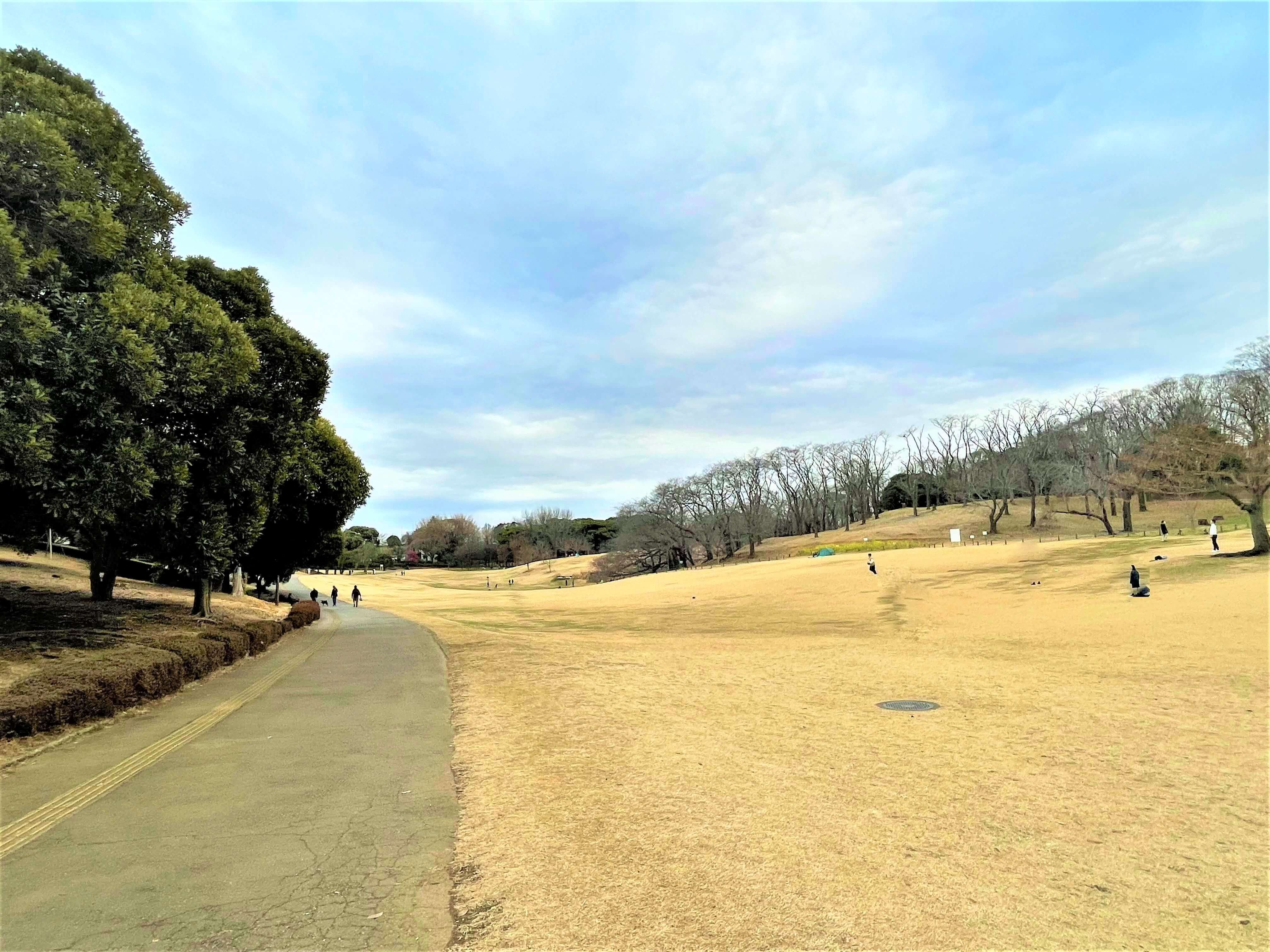 馬の博物館へ行ってみた｜自己肯定感を高める×ライター