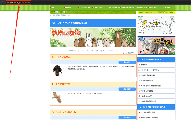 画像
