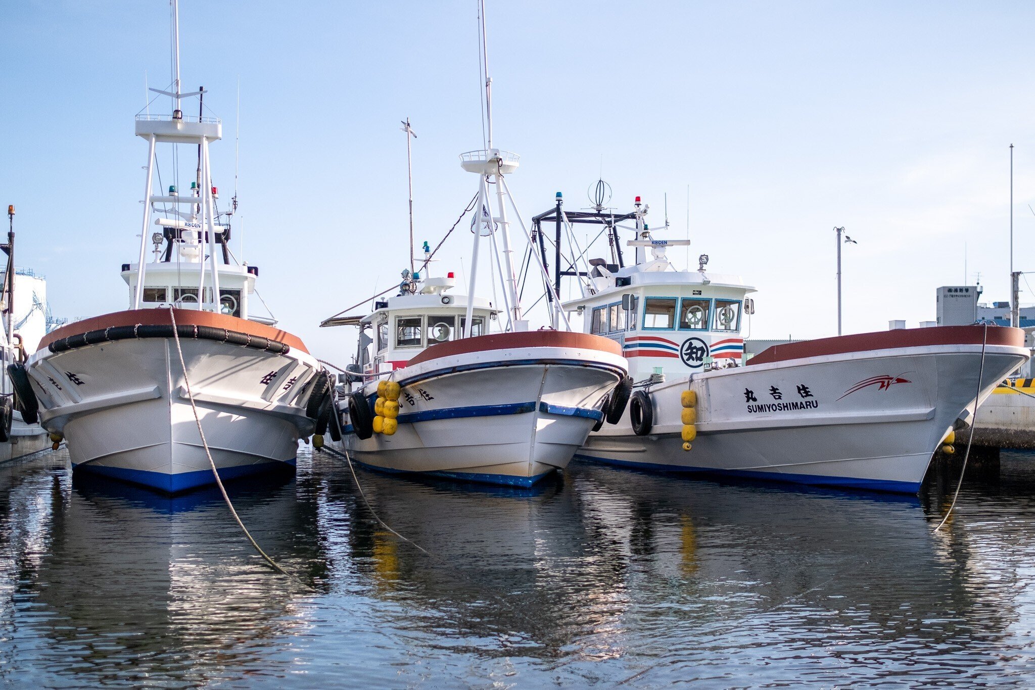 漁師たちで手を取り合い、豊かな漁場を次世代につなげる―尻池水産 尻池