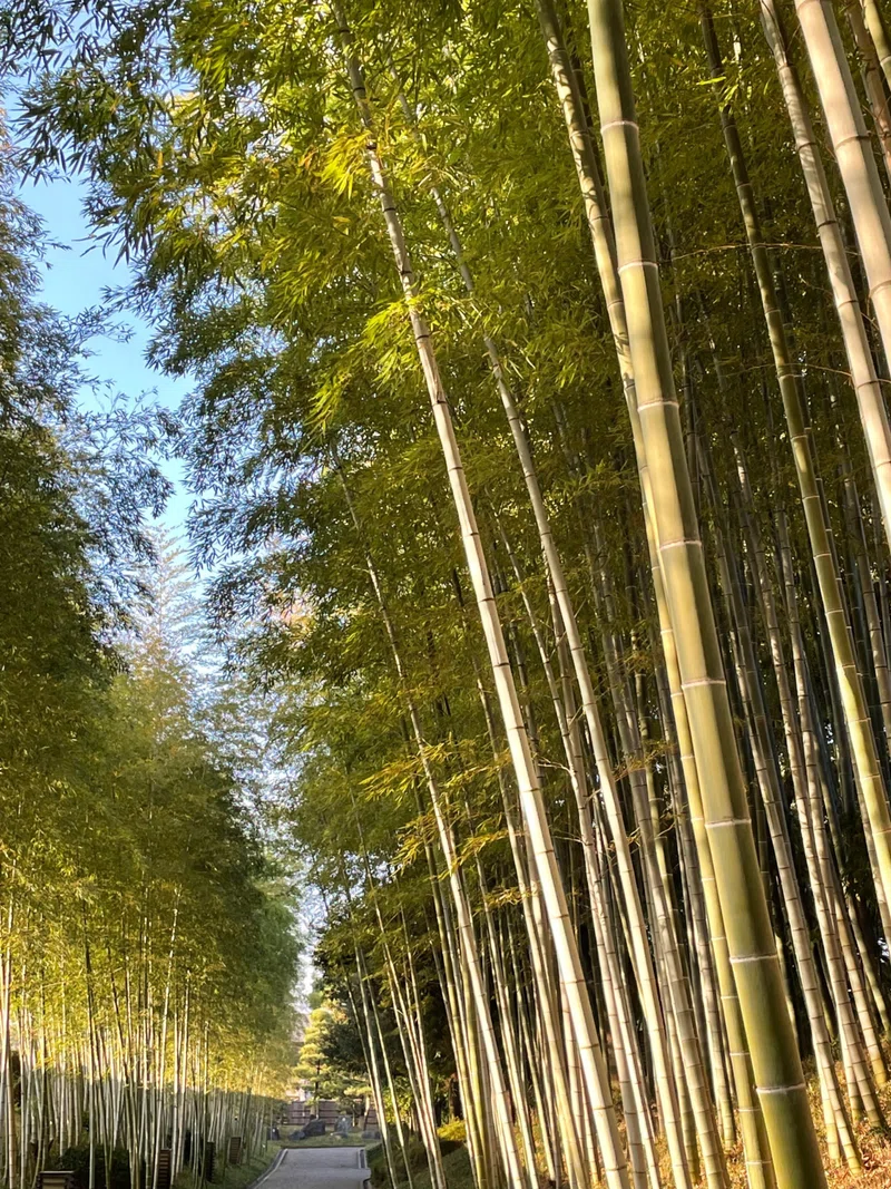 節目を作っていく、ということ｜hey-coba