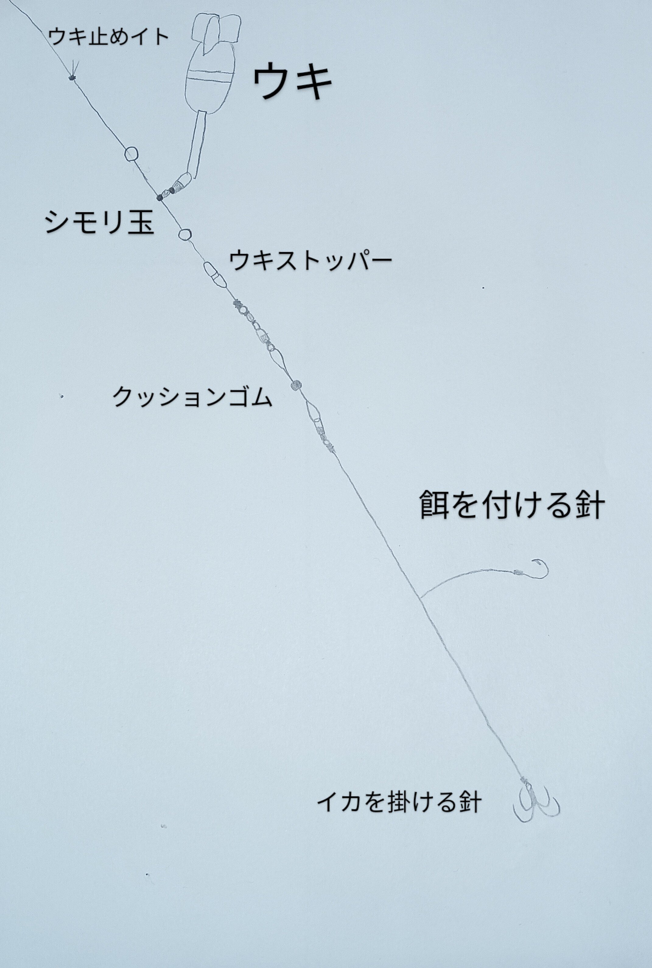 堤防などからの気軽な泳がせ釣りの釣り方について!!釣りが 堤防などからの気軽な泳がせ釣りの釣り方について!!釣りが