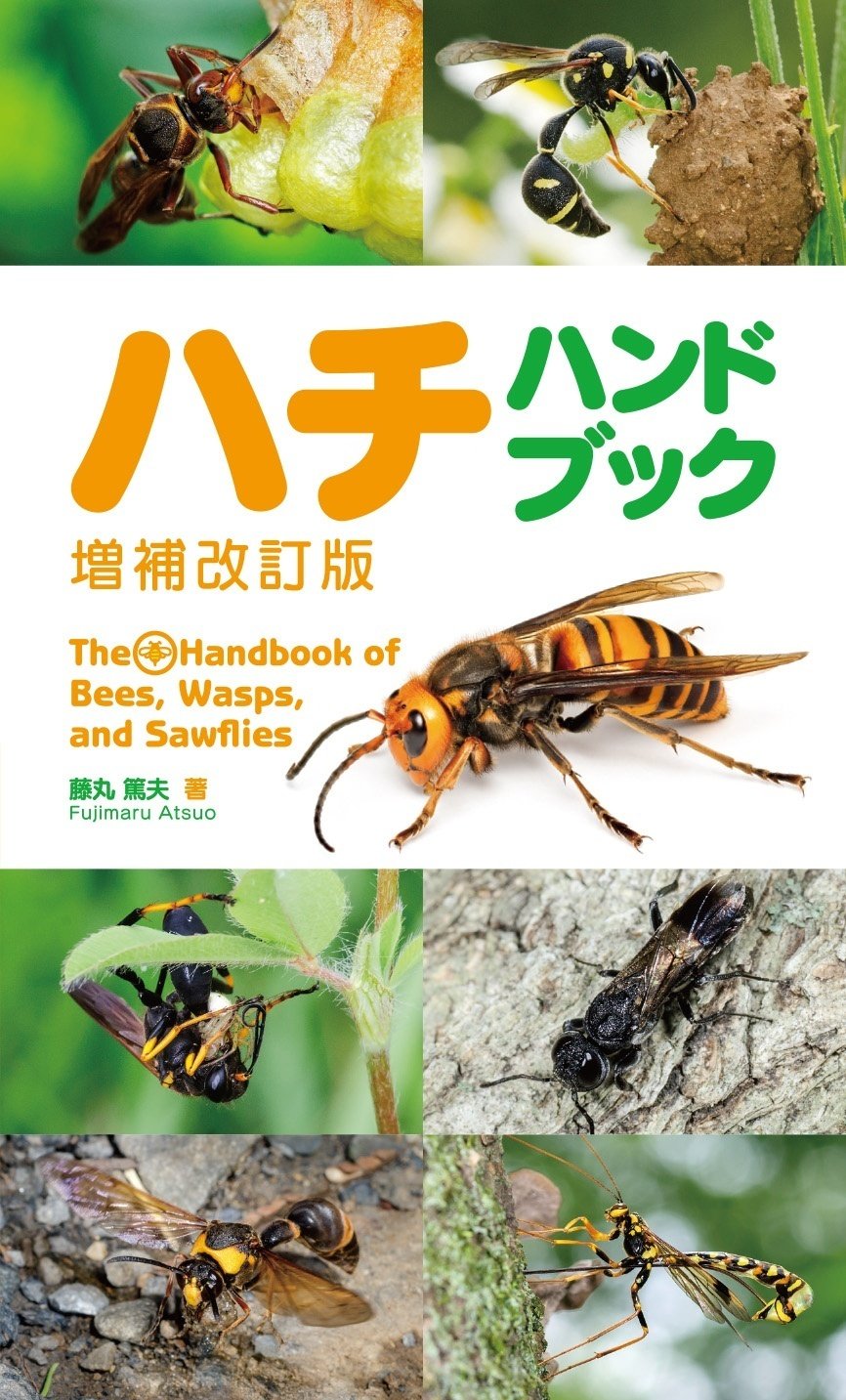 ハチハンドブック増補改訂版でたどる，ハチの進化の道 ～毒針は