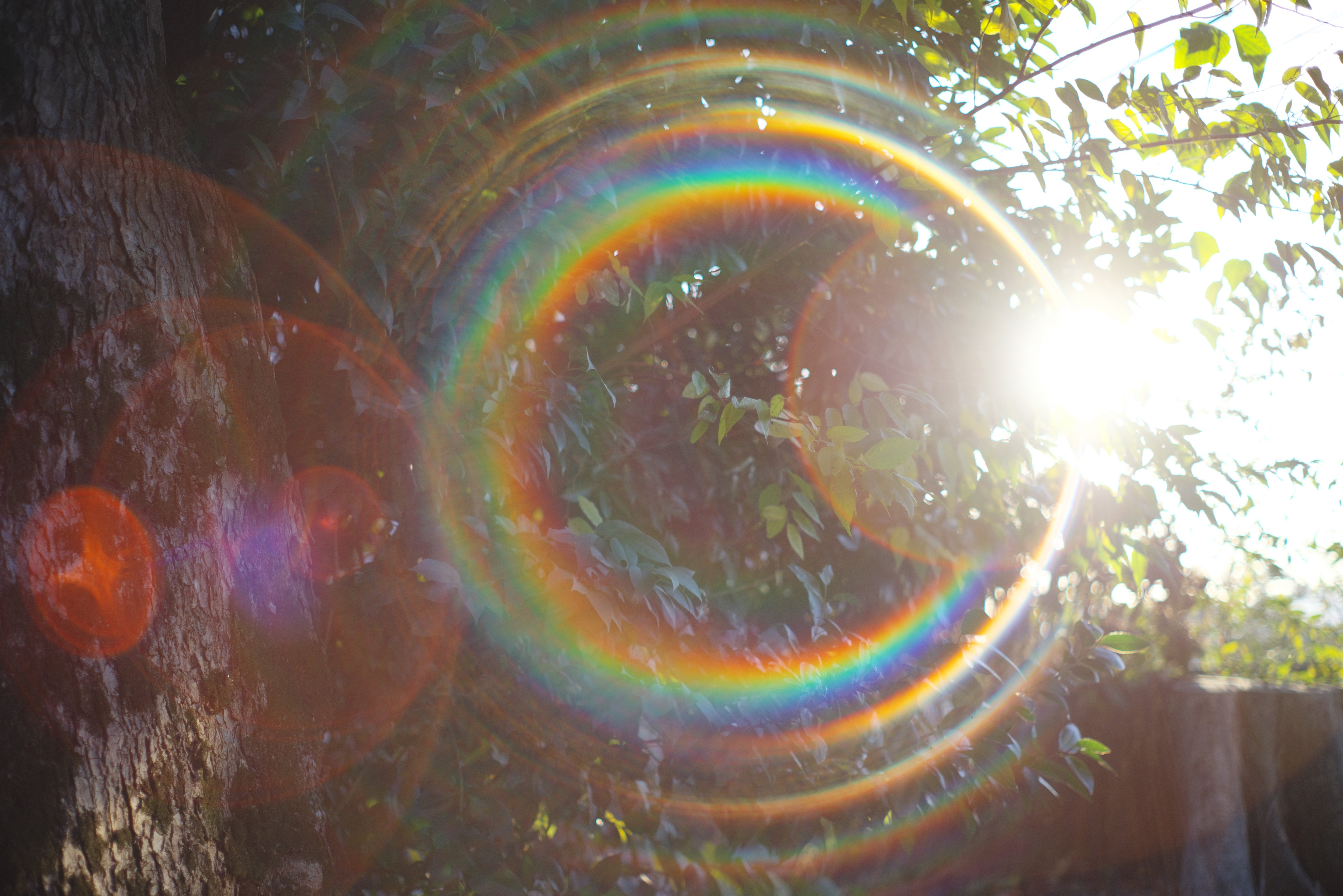 PENTAX K-1で Super-Takumar 55mm/F1.8 作例｜ぴい(お仕事募集中）