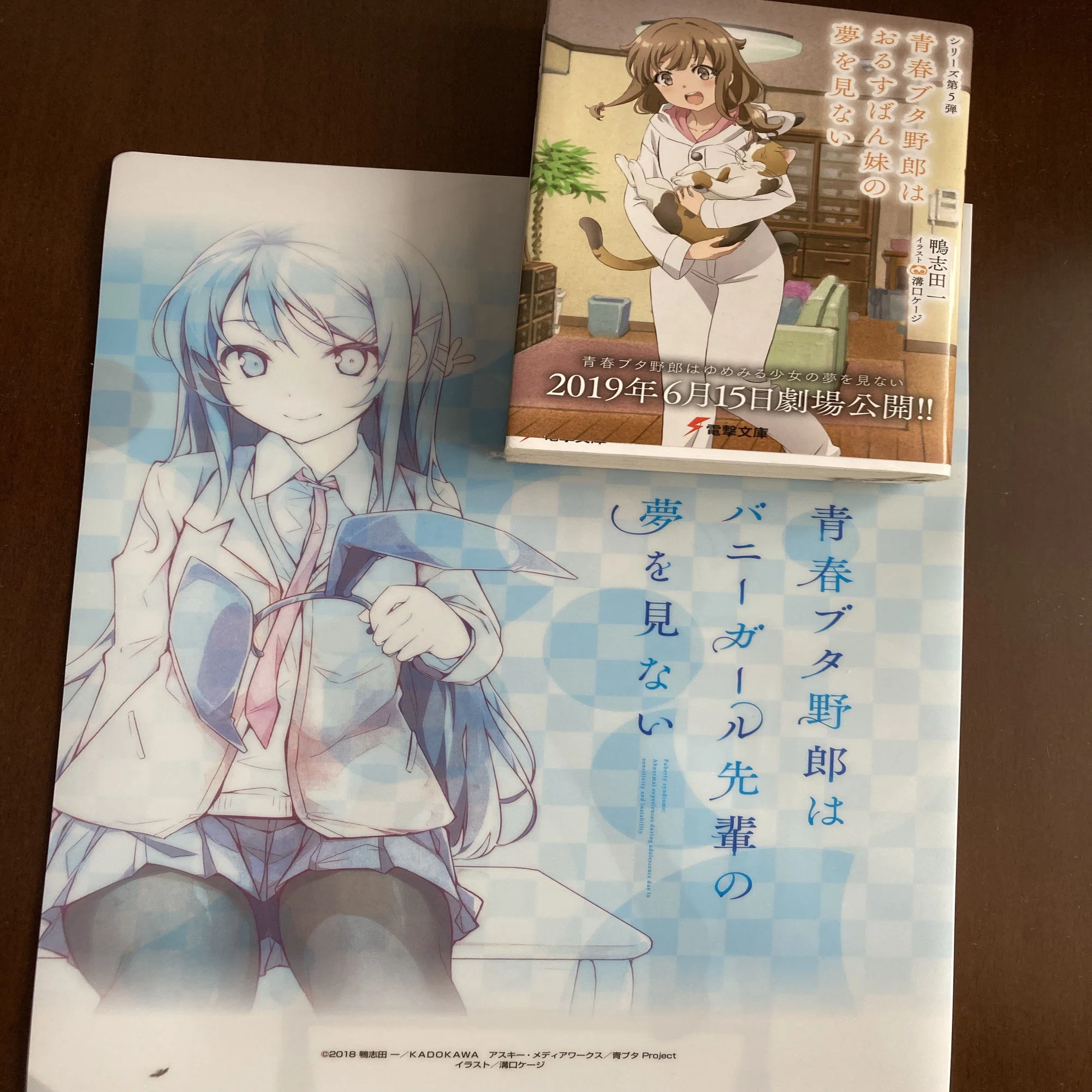 買ってよかった】 アニメ『青春ブタ野郎』「桜島麻衣」のクリア 