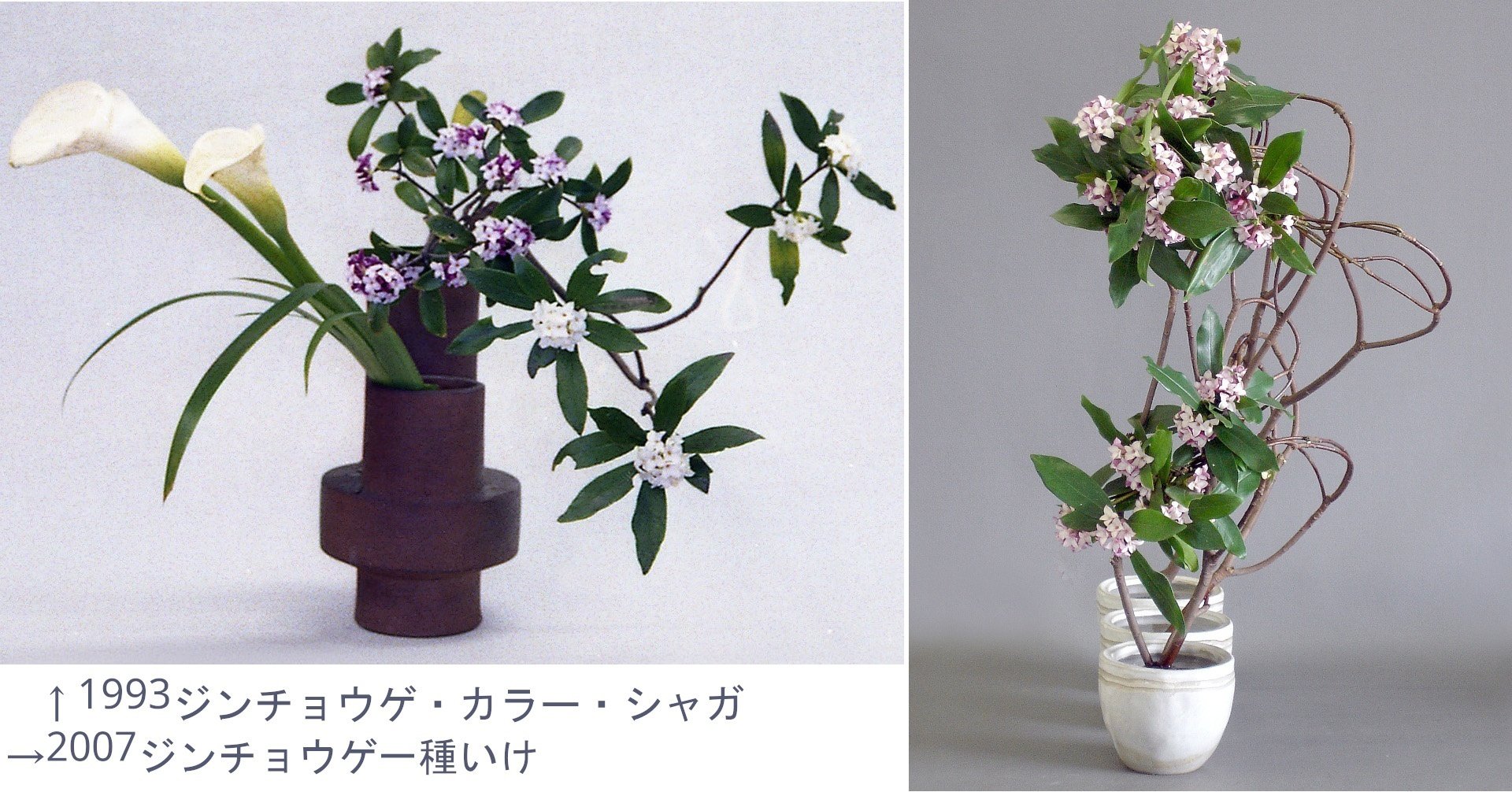 粋） 沈金富貴花 香合 （粋） 沈金富貴花 香合 工芸品）