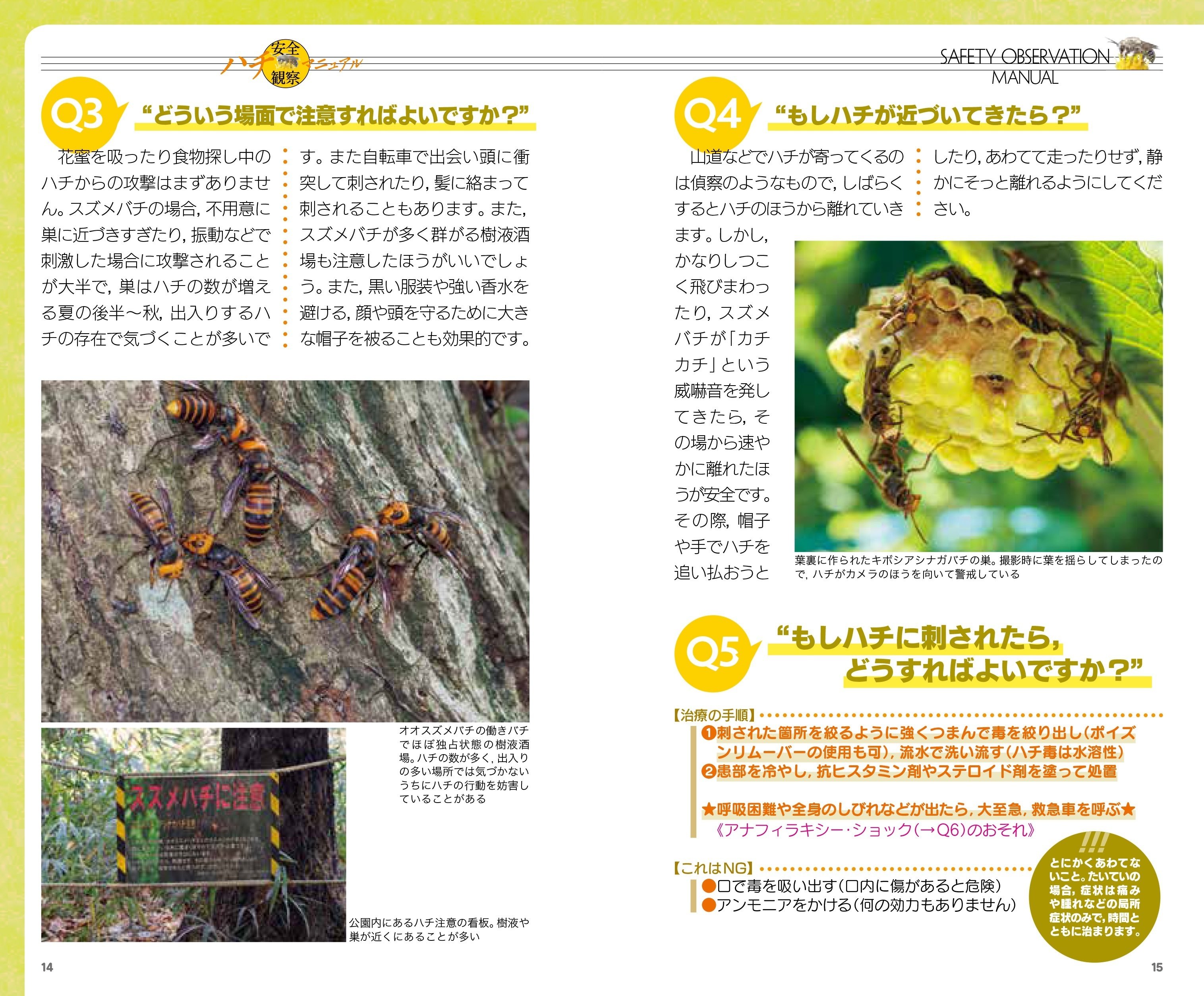 ハチハンドブック増補改訂版でたどる，ハチの進化の道 ～毒針は