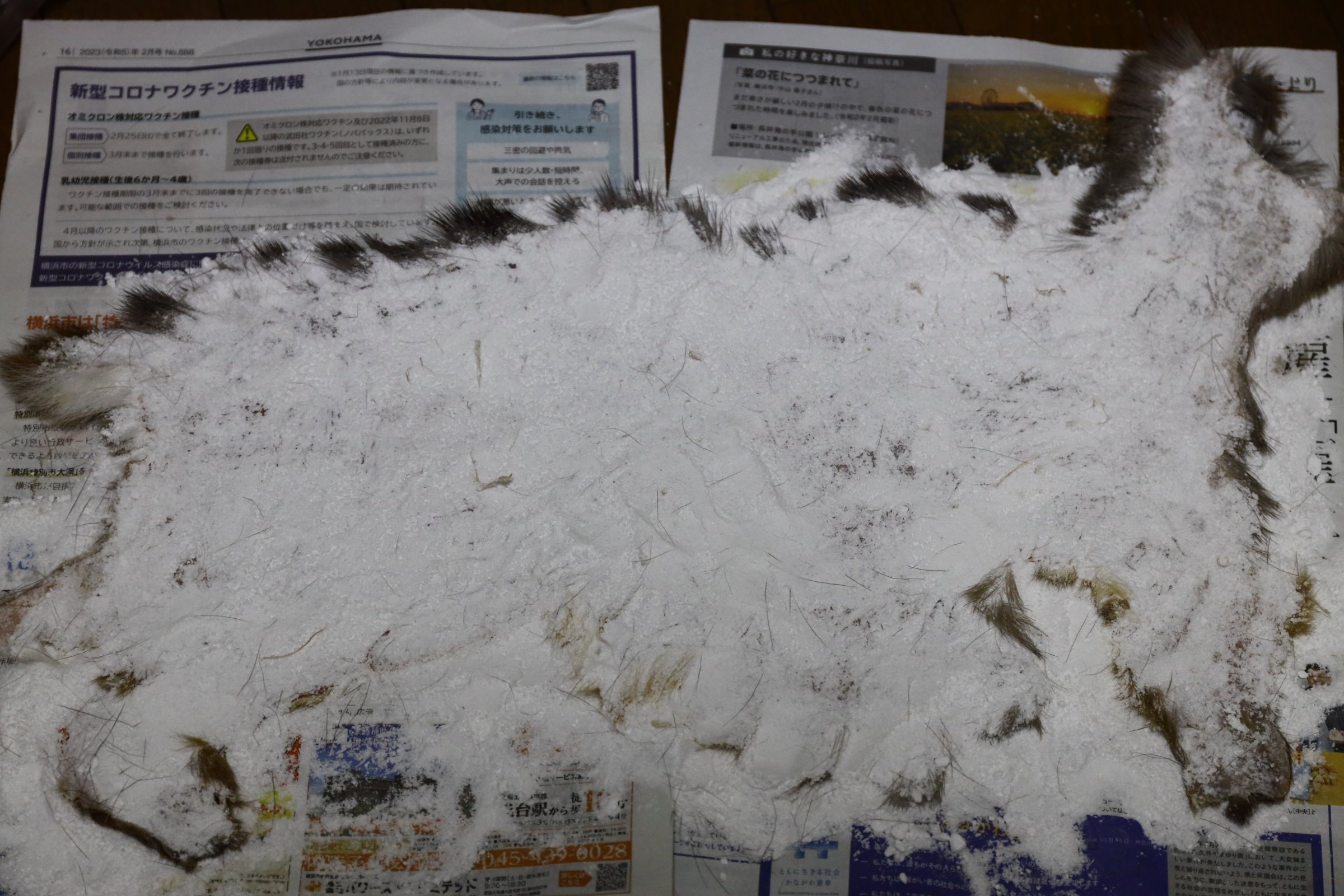 狩猟鳥獣の毛や羽根で毛バリを巻いてみよう！ その④ディアヘア