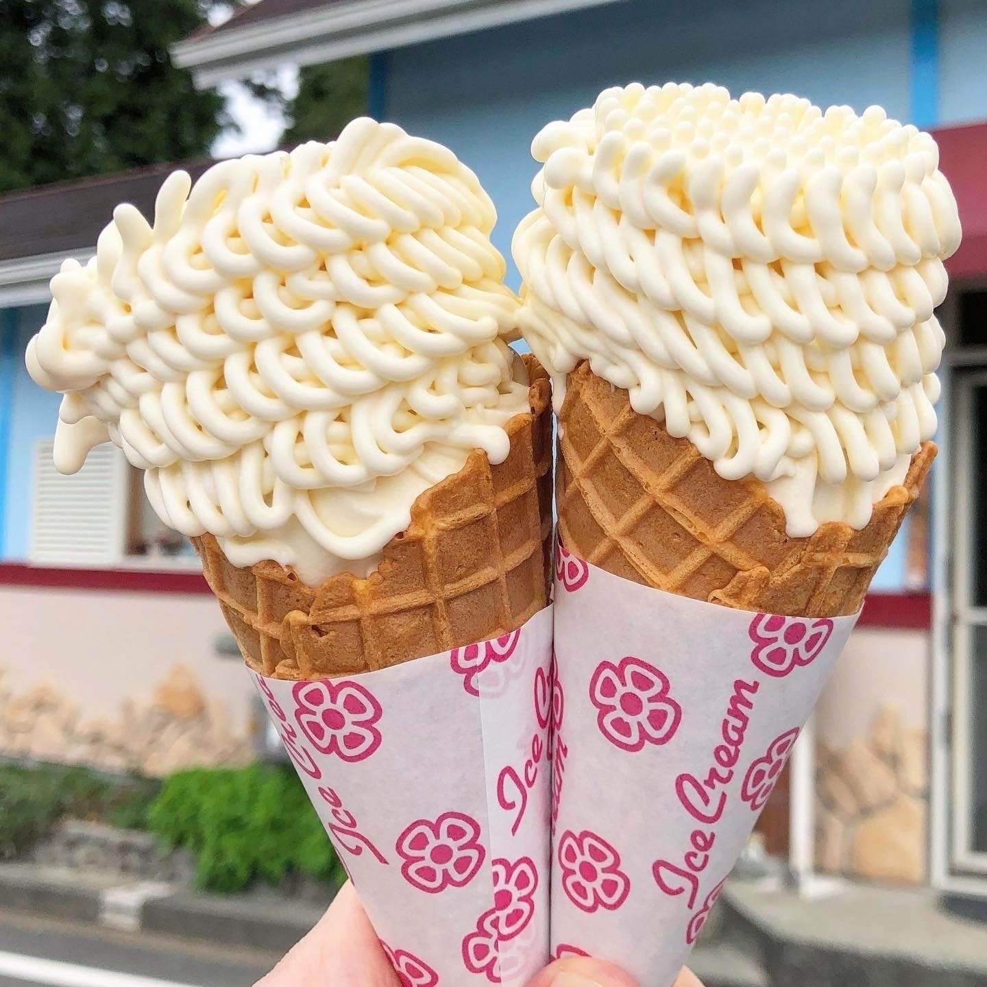 熊本】菊池市周辺のソフトクリームガイド｜プロソフトクリーマー森川