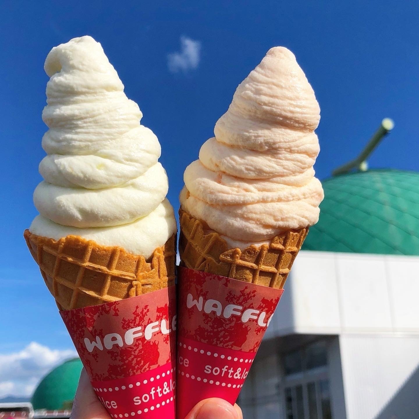 熊本】菊池市周辺のソフトクリームガイド｜プロソフトクリーマー森川