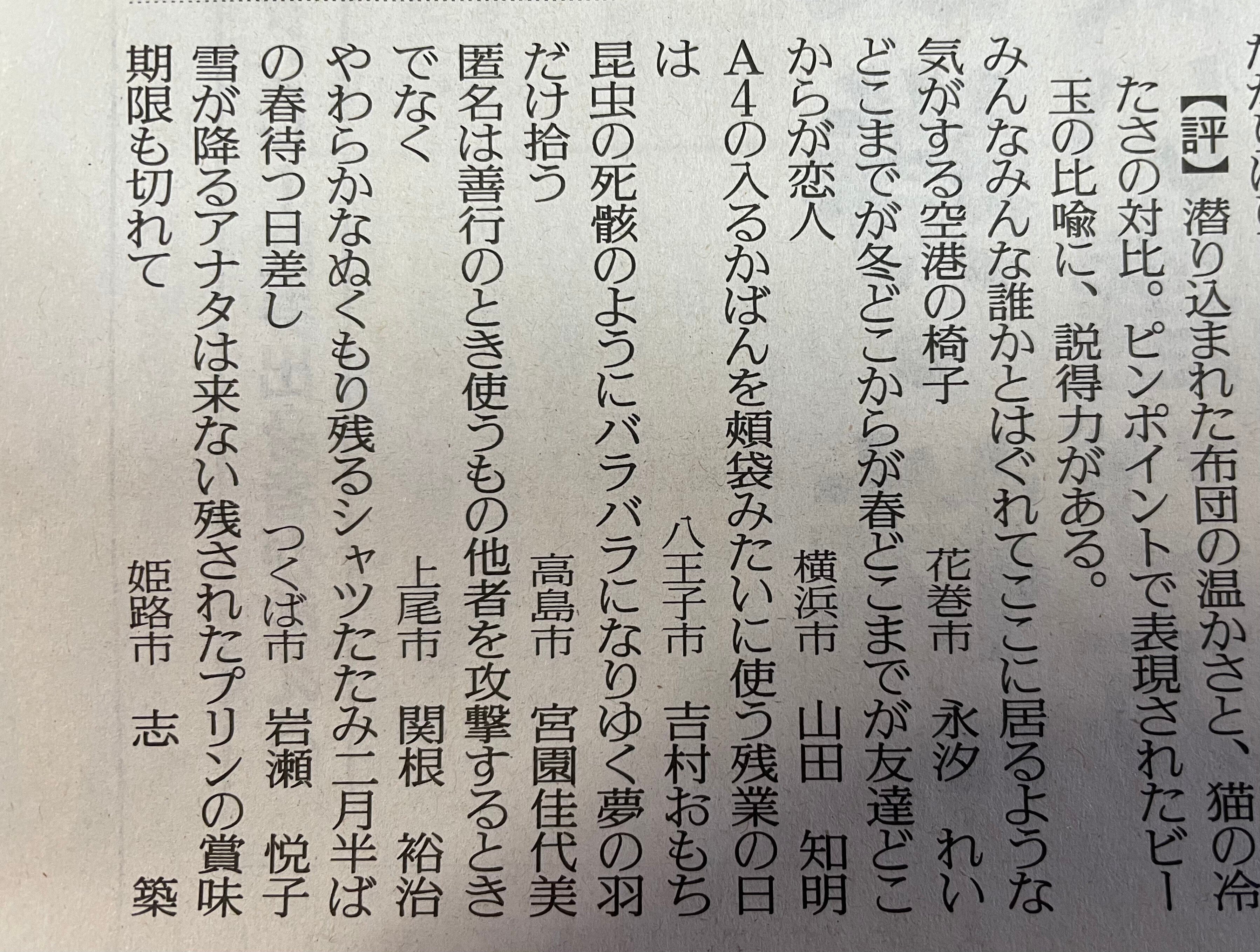 【中古】 野紺菊 関根喜美句集/朝日新聞出版/関根喜美 中古】 野紺菊 関根喜美句集/朝日新聞出版/関根喜美 中古】 野紺菊