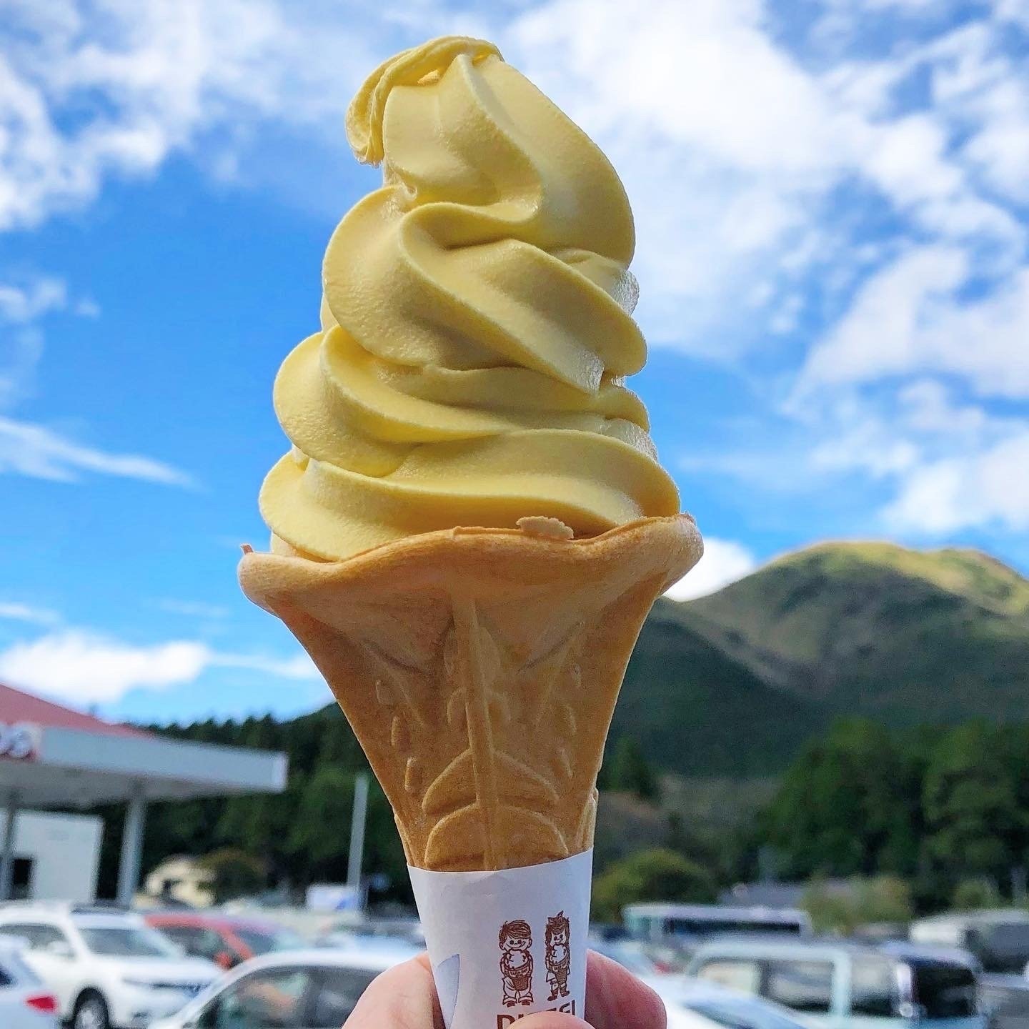熊本】小国町周辺のソフトクリームガイド｜プロソフトクリーマー森川