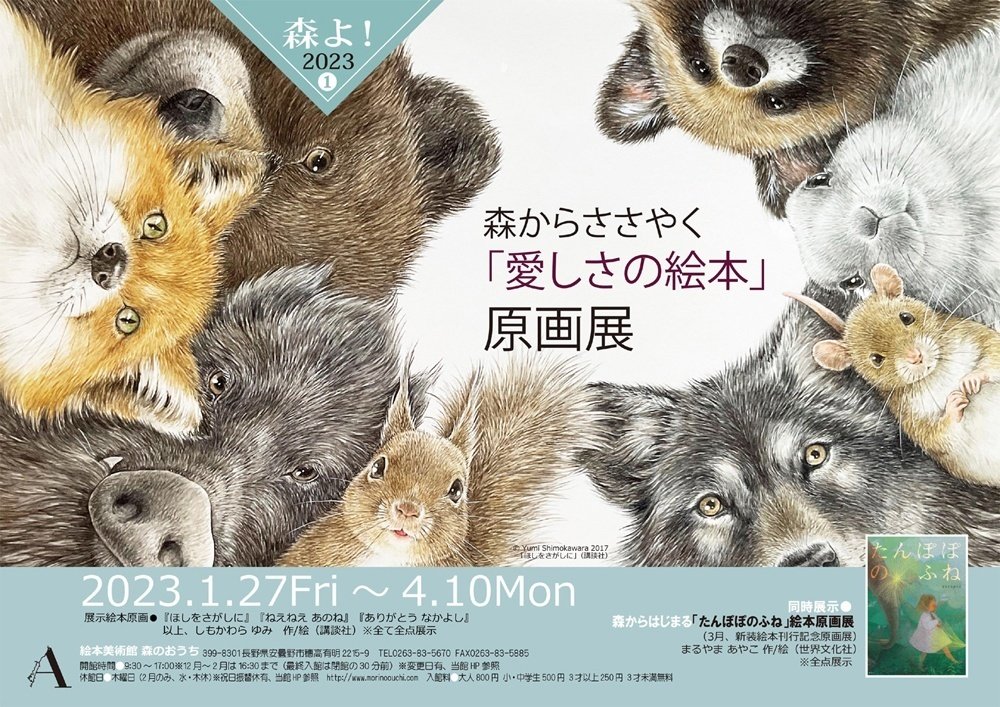 画家・絵本作家の声】まるやまあやこさんインタビュー～森からはじまる