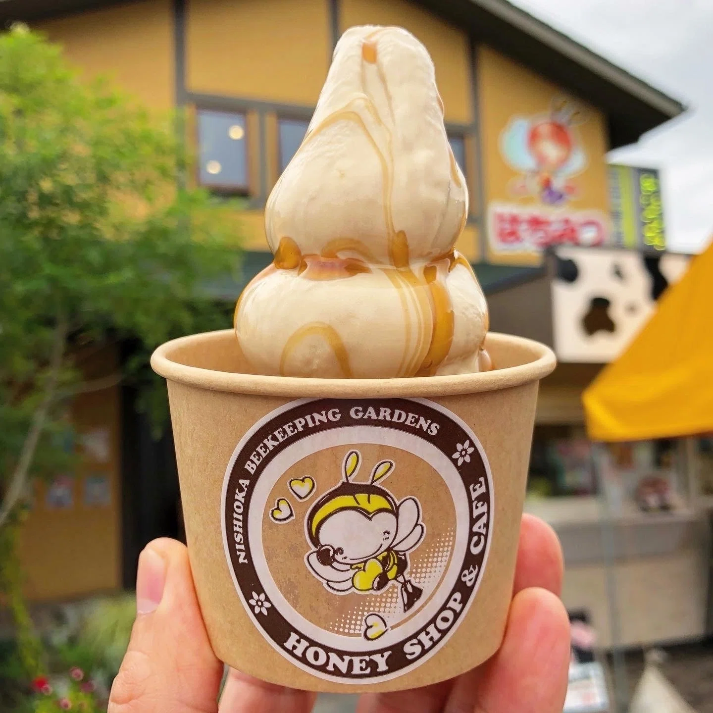 熊本】八代市のソフトクリームガイド｜プロソフトクリーマー森川