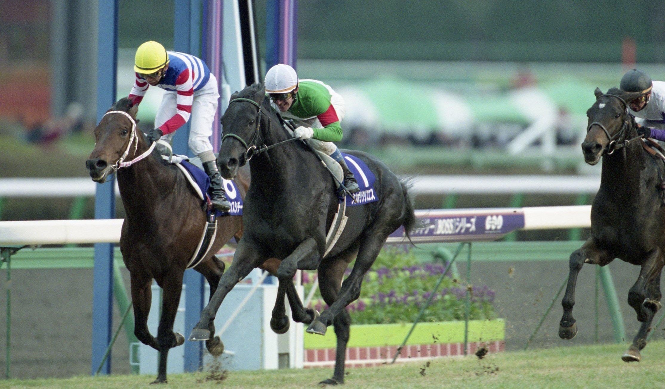 シンボリクリスエス｜名馬メモリアル｜競馬情報ならJRA-VAN