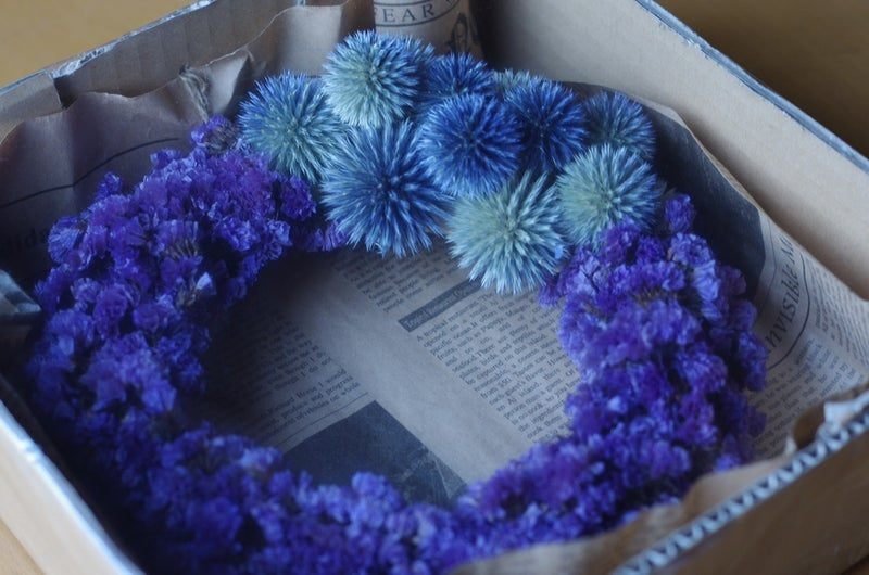 ドライフラワーの育て方【ルリタマアザミ】｜まめぴいな