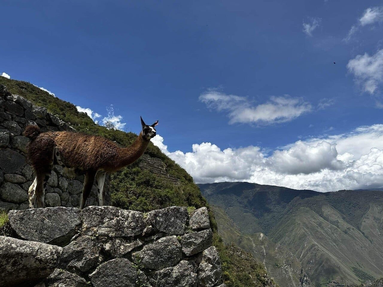 ペルー🇵🇪 マチュピチュ1日ツアー🎉｜naho【いのちだいじに1人旅】