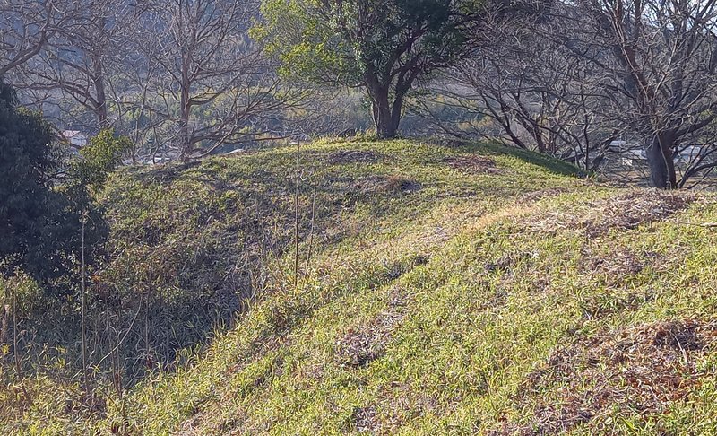 温故知新(16)倭建命(孝元天皇 景行天皇(吾賀古君) 成務天皇(稚足彦尊 真若王 吉備兄彦皇子)) 仲哀天皇(小碓命 吉備武彦命 讃王 日本武尊) 五百城入彦皇子(彦人大兄命 大枝王 弟彦公) 八坂入媛命(訶具漏比売 伊那毘能若郎女 大橘比売命) 弟橘比売命(弟財郎女) 海部氏