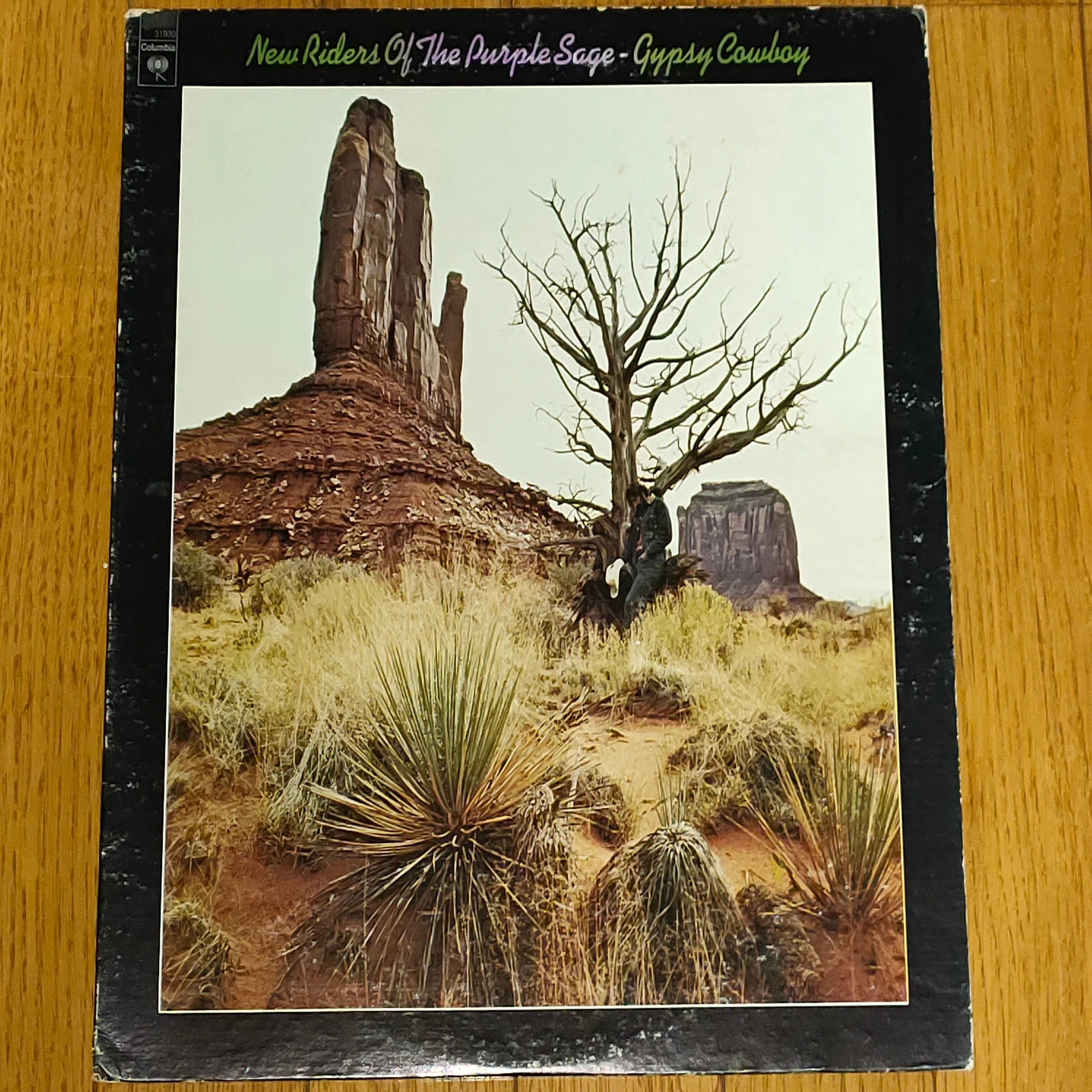 New Riders of the Purple Sage 〜グレイトフル・デッドから生まれた 