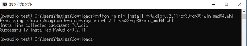【Python】pyaudioの導入方法｜星杜なぎさ