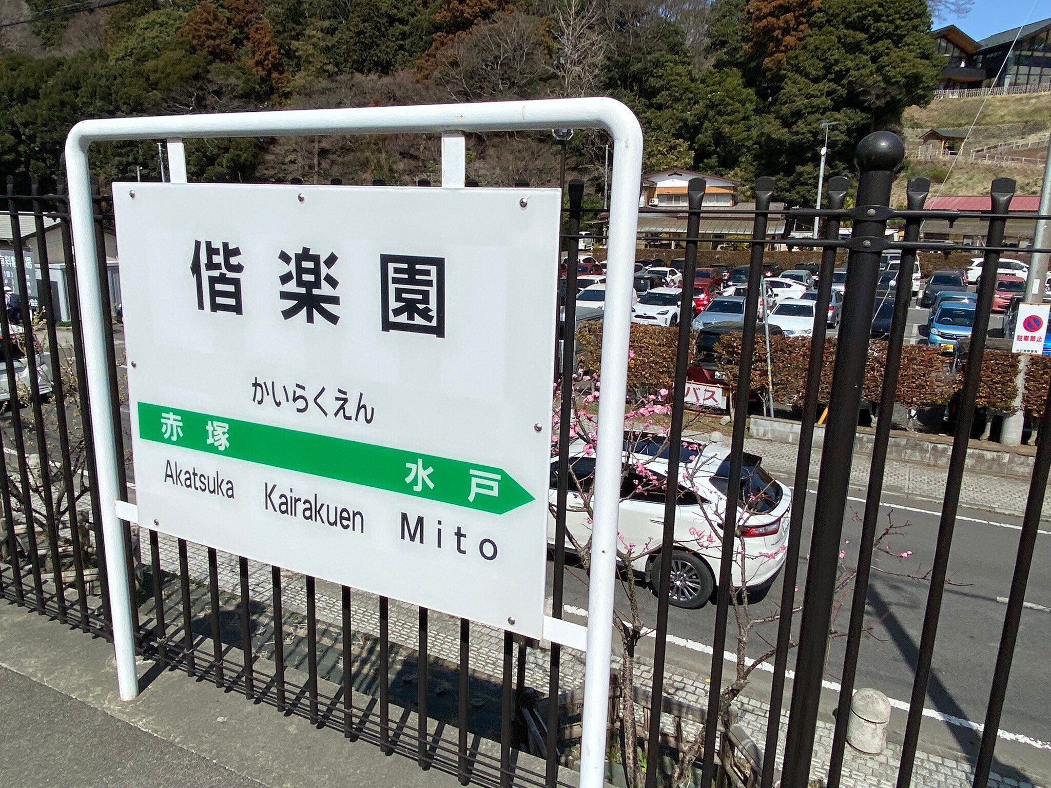 確認用！ 百花繚乱 すぐるん パズドラ】百花繚乱1攻略！【5F】｜ゲームエイト 確認用！ 百花繚乱