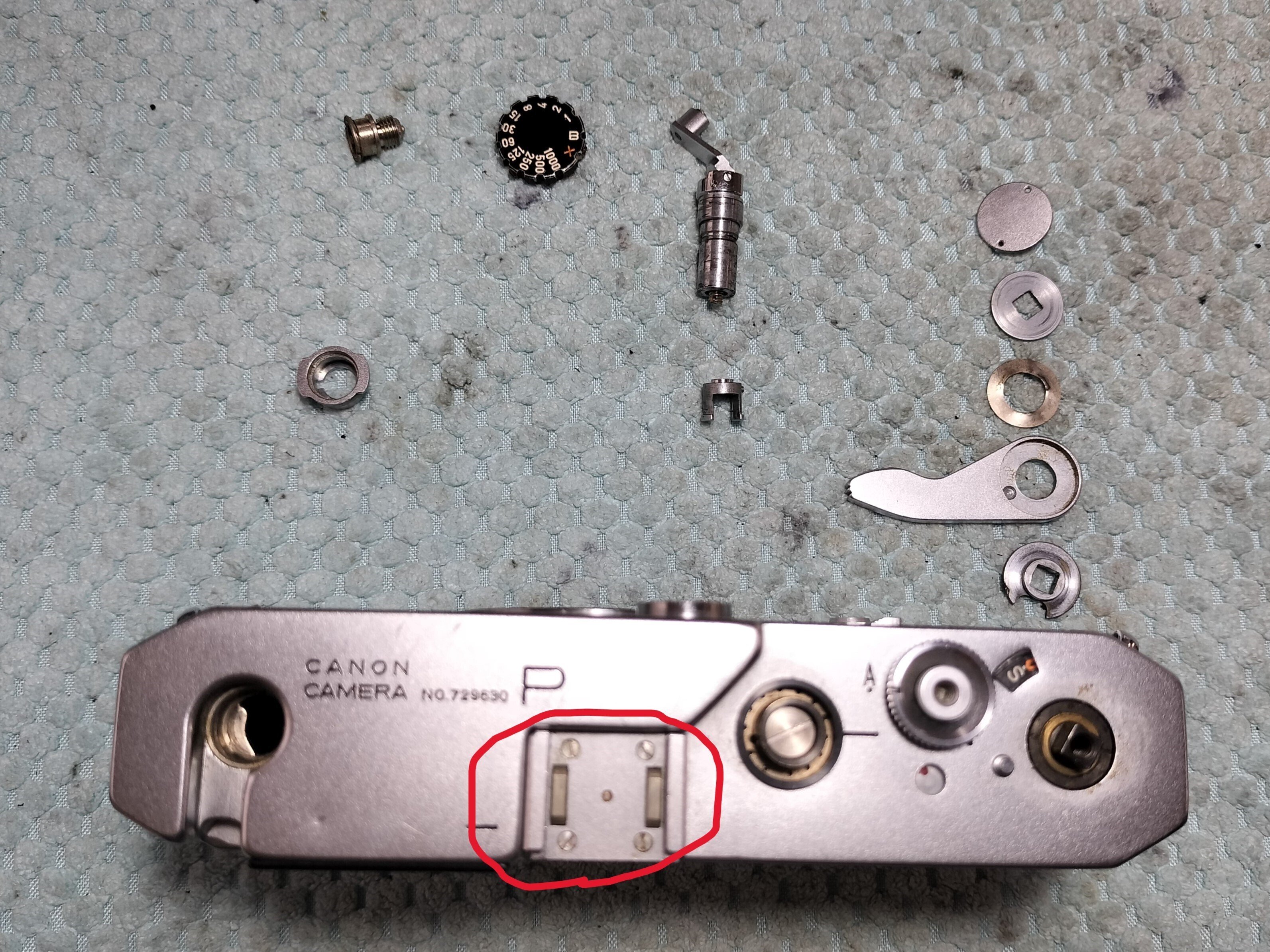 Canon Pの分解｜フィルムカメラ修理のアクアカメラ