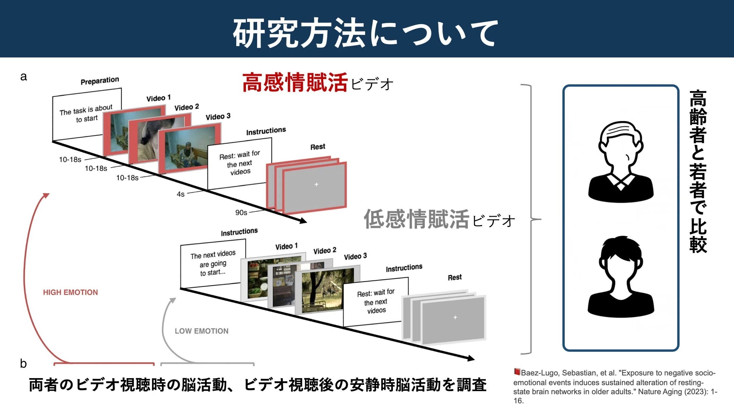 高齢者の感情の起伏。その脳内メカニズムとは？｜Super Human | 理学