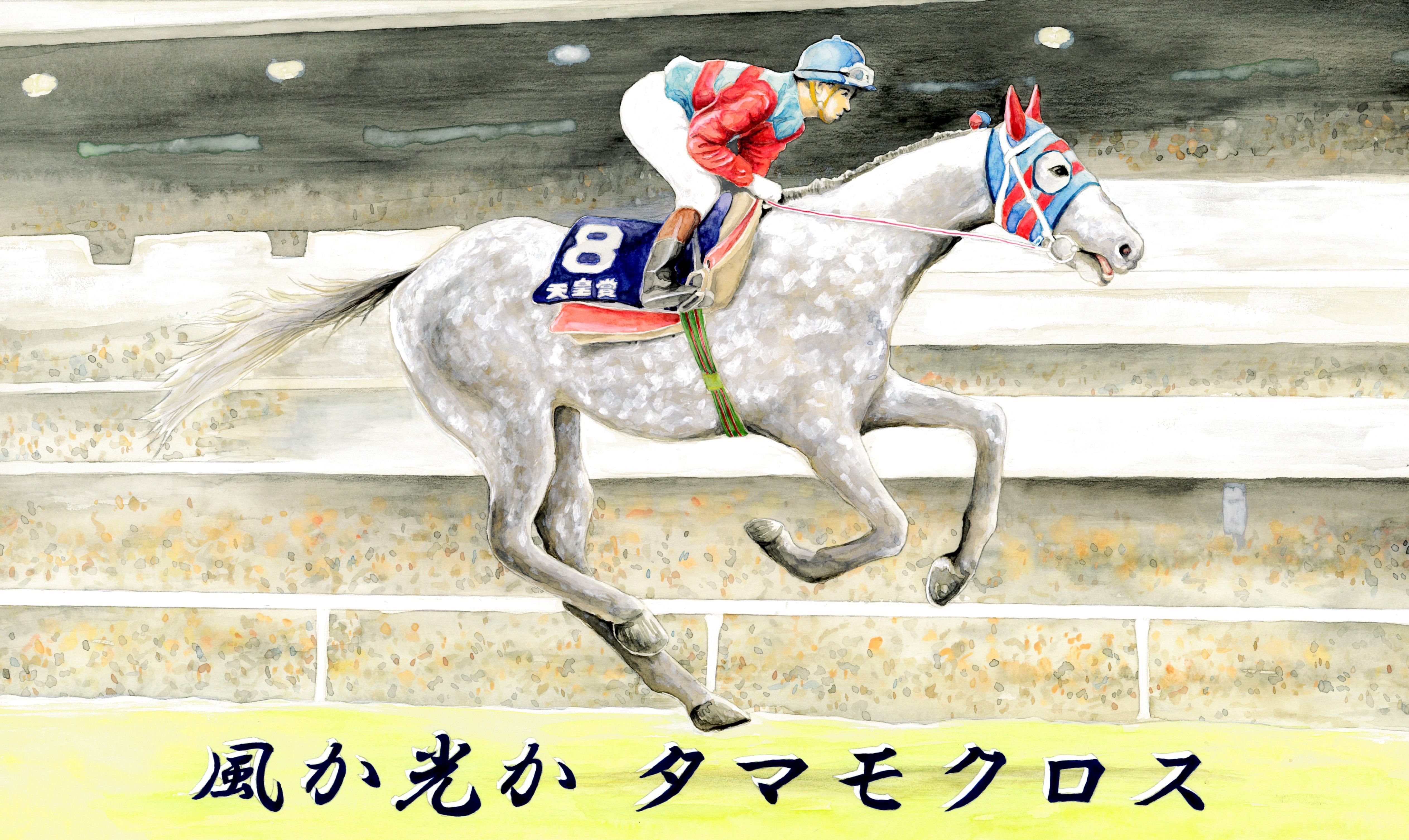 タマモクロス｜江島 達也／対州屋