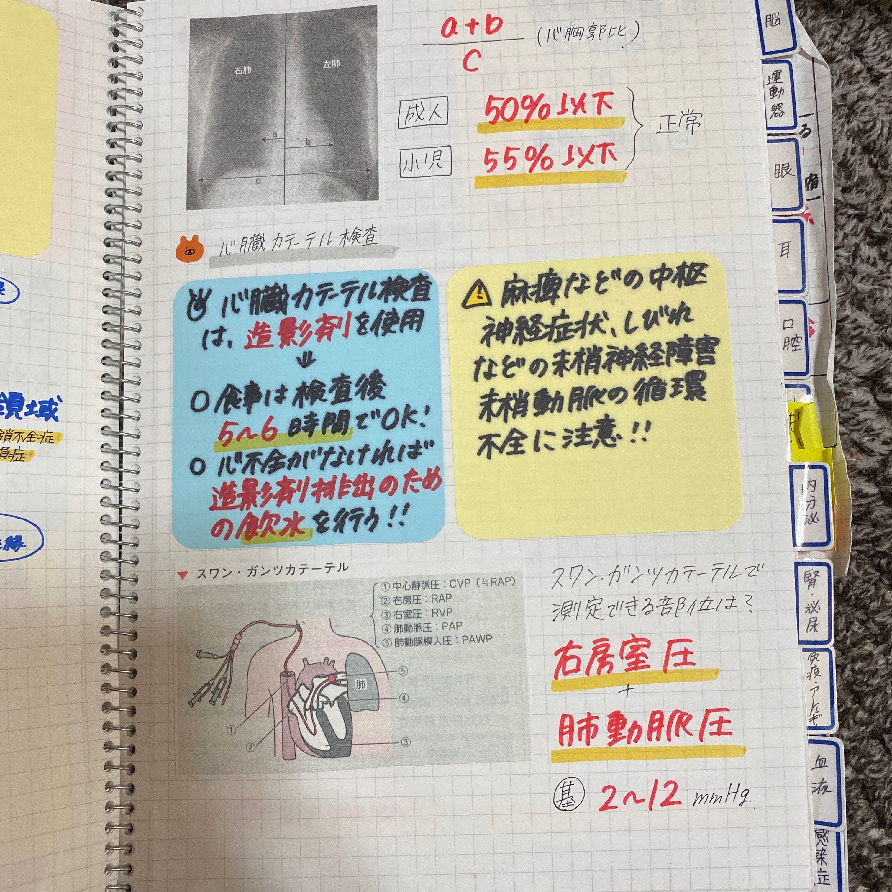 看護師国家試験付箋ノート3冊 看護師国家試験付箋ノート3冊 （商品詳細ページ | メディカル