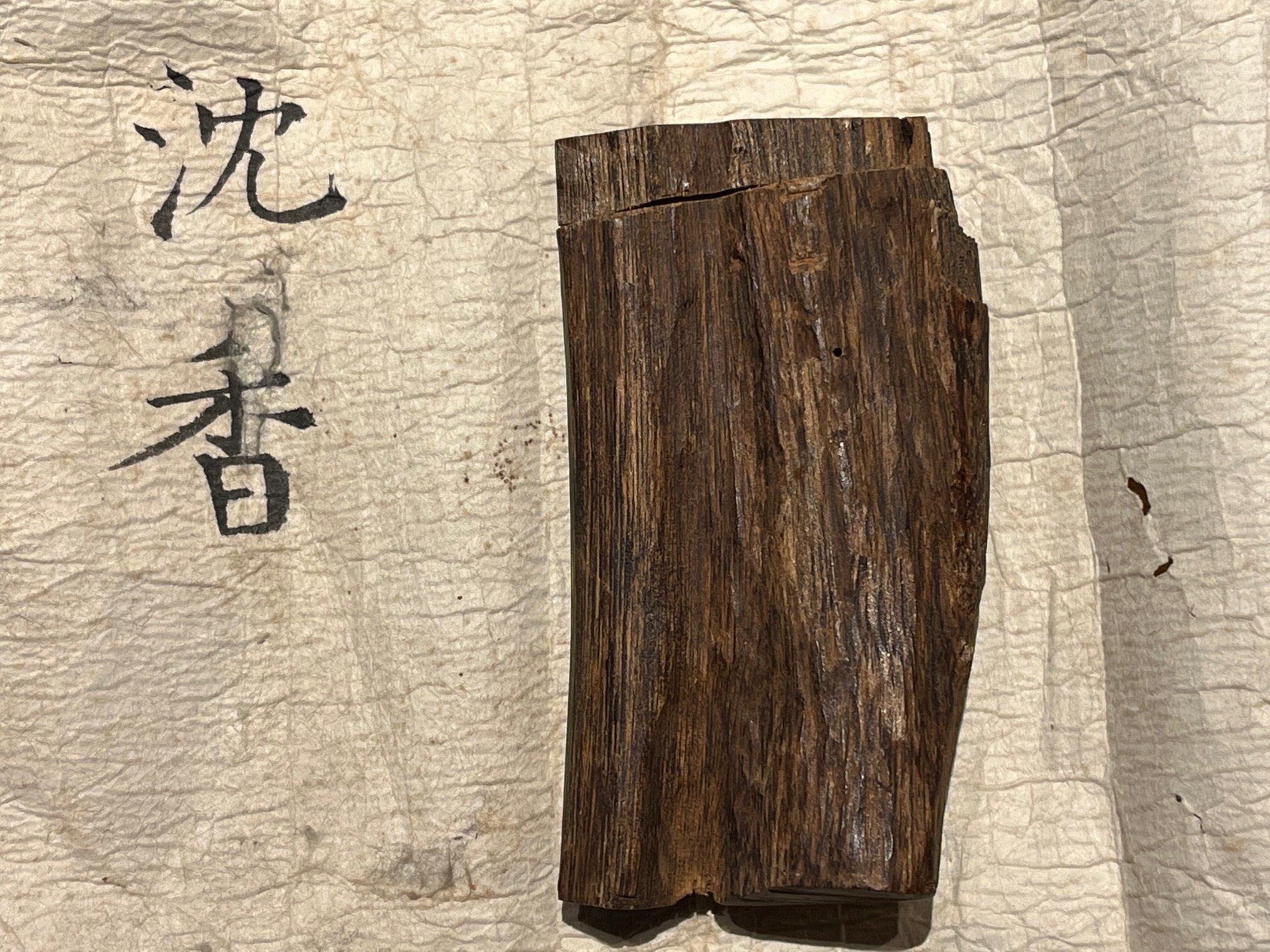 4月の推奨香木は、予告通り、真那賀の古木第3弾です♪｜山田眞裕