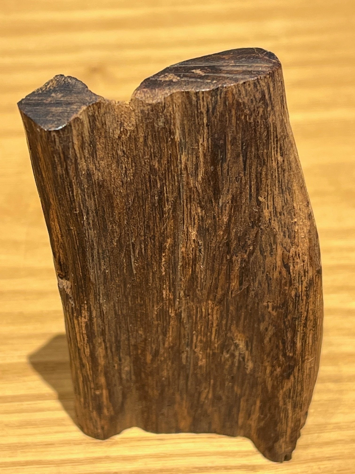 4月の推奨香木は、予告通り、真那賀の古木第3弾です♪｜山田眞裕