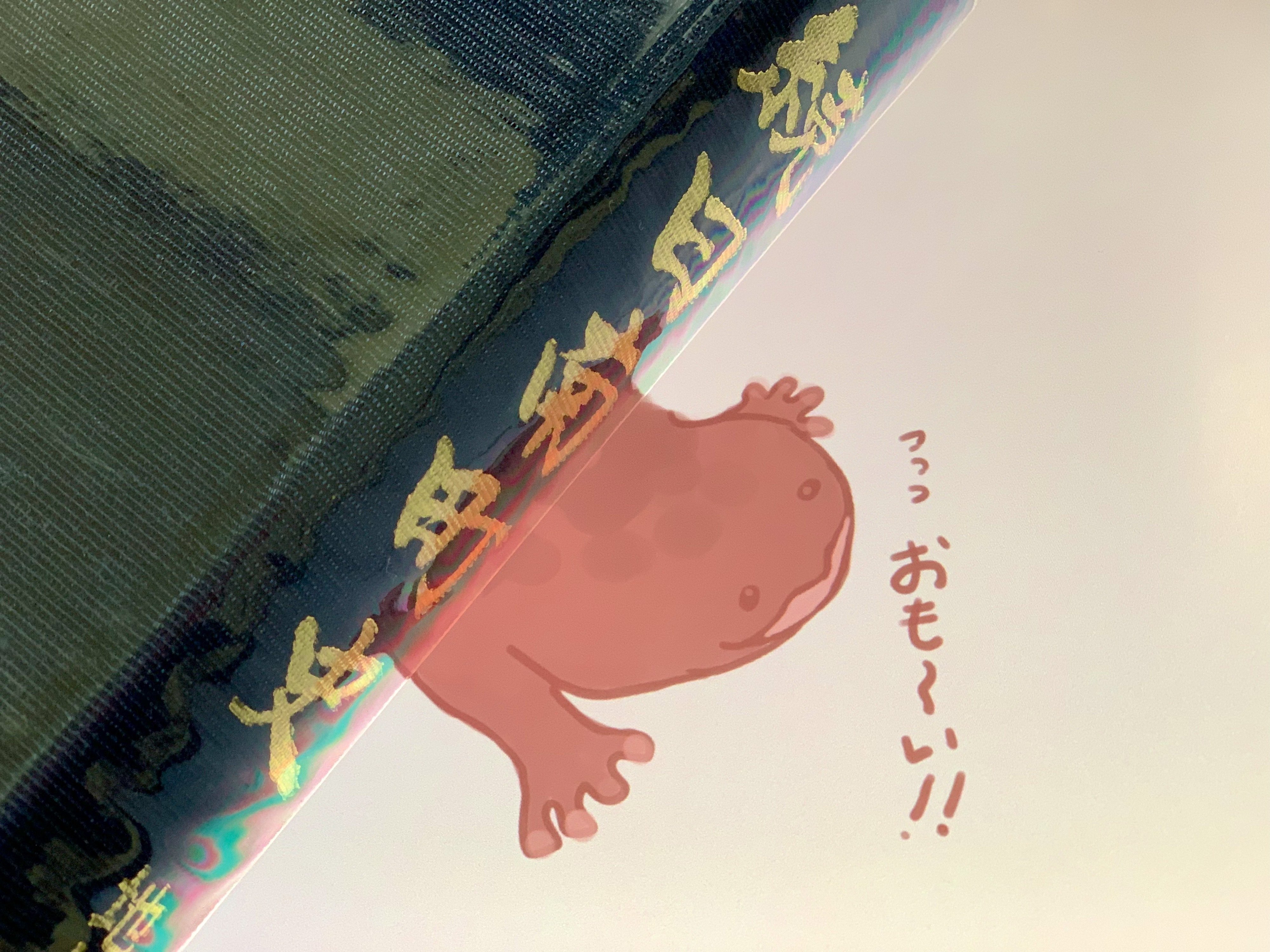 令和4年度版!田なかのオッサンショウオとオオサンショウオ 令和4年度版!田なかのオッサンショウオとオオサンショウオ