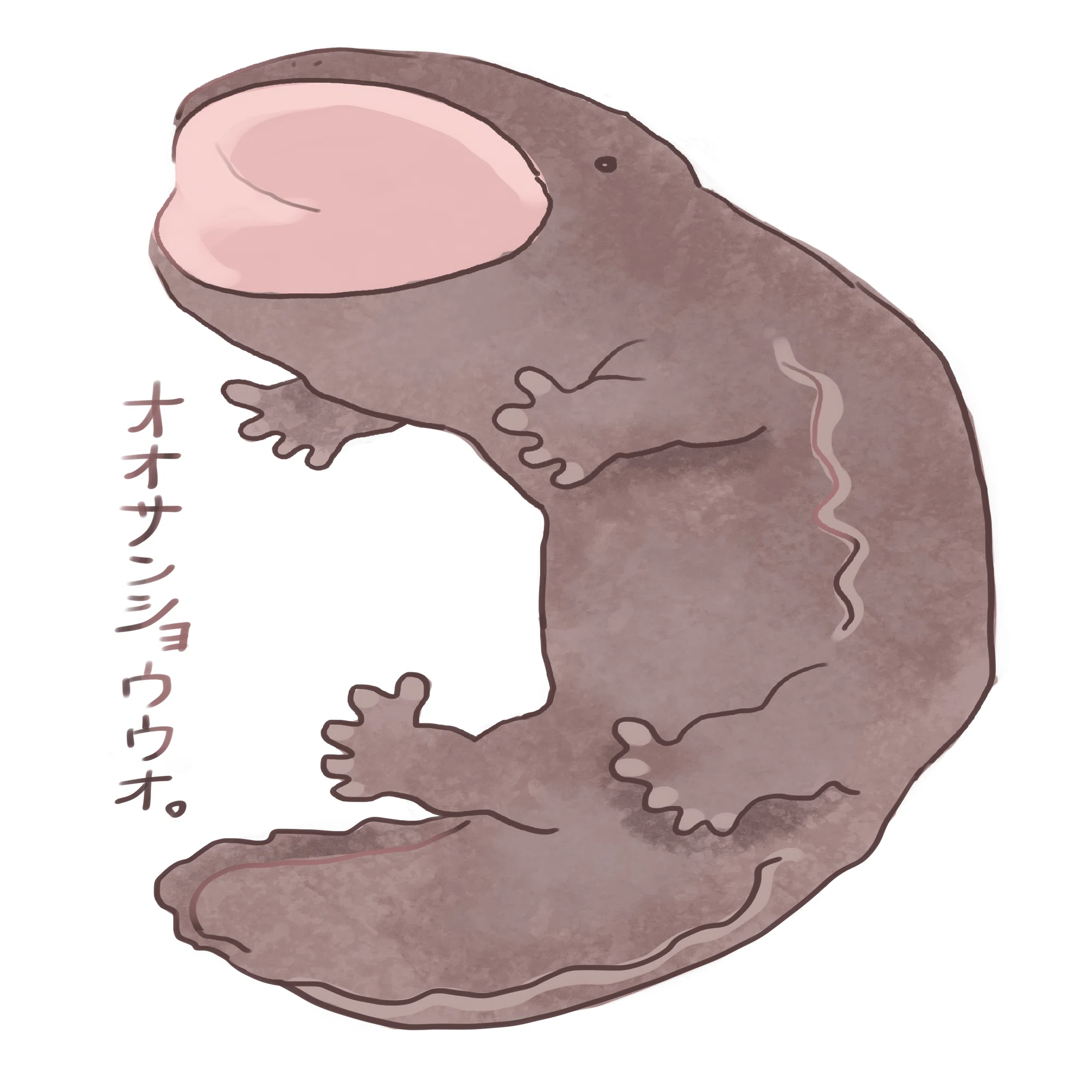 令和4年度版！田なかのオッサンショウオとオオサンショウオイラスト集