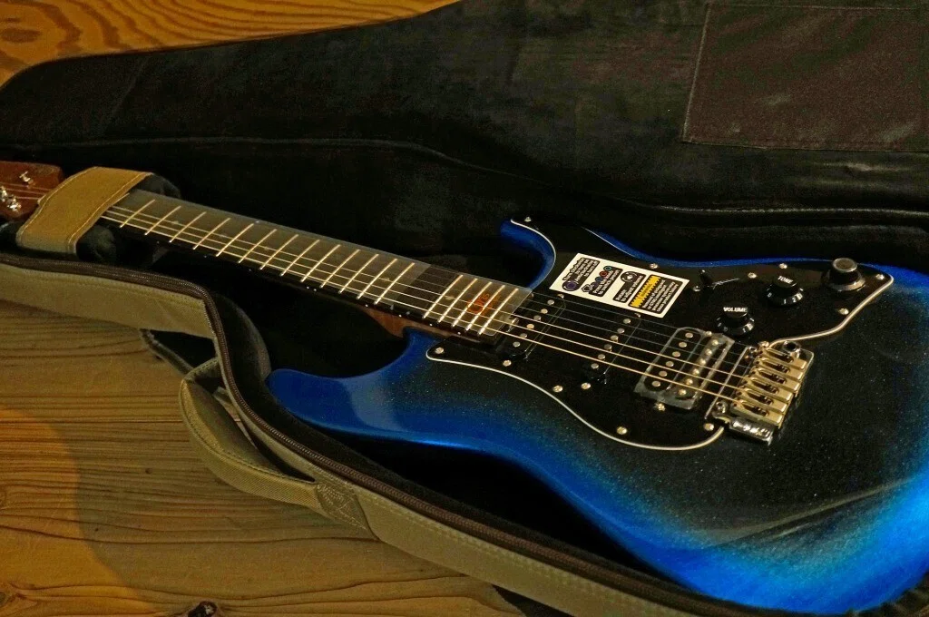 新時代のギター、GTRS！付属のギグバッグもこだわっています！｜Lep